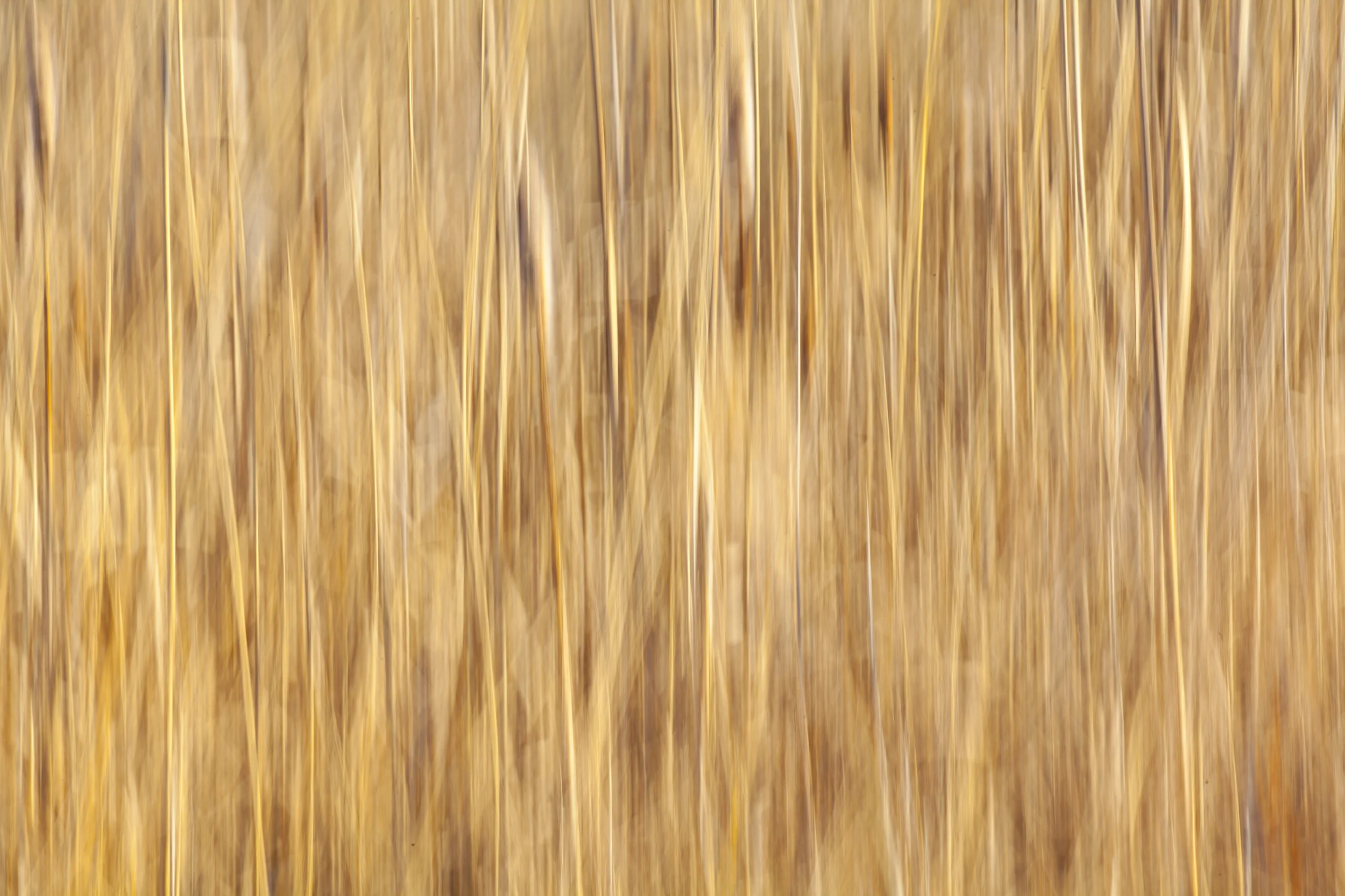 Tones of Brown.jpg