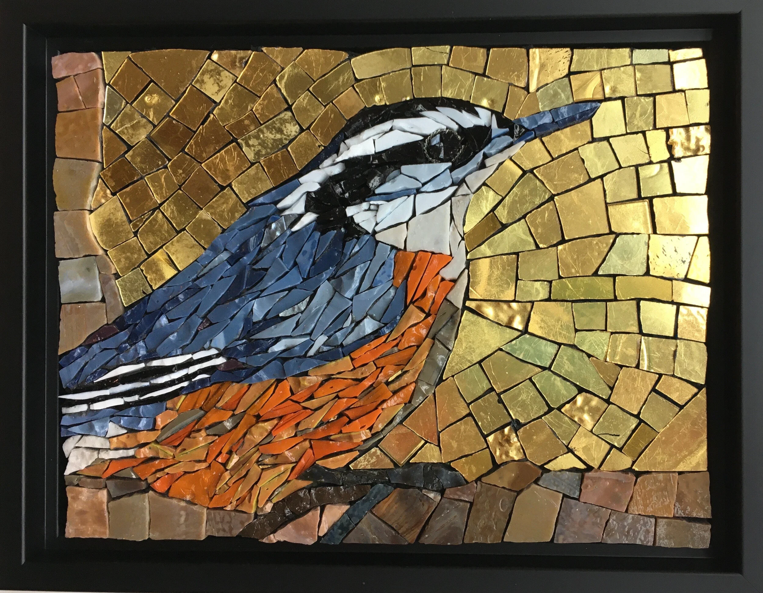 Red Breasted Nuthatch