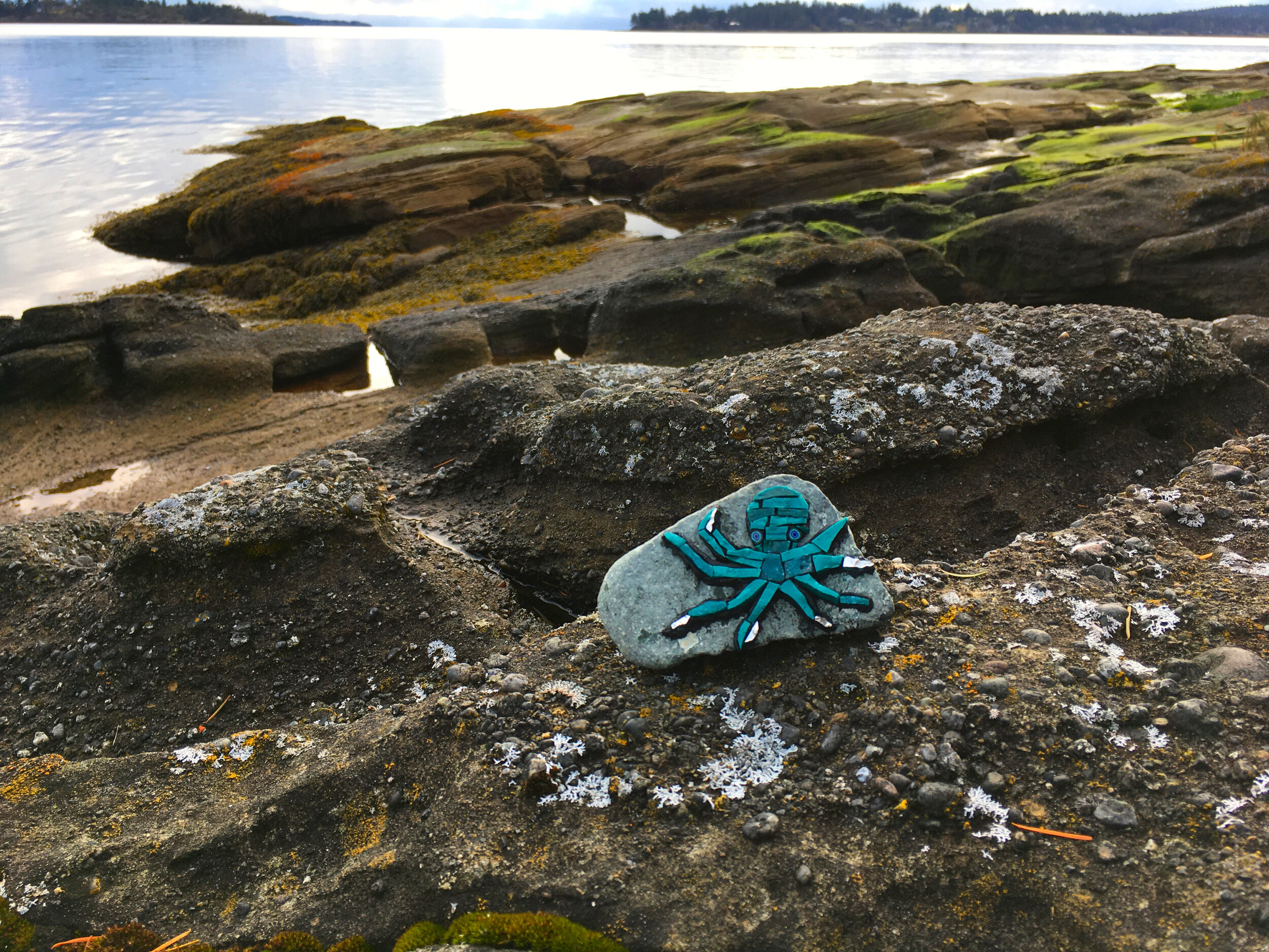 Should We or Shouldn't We?