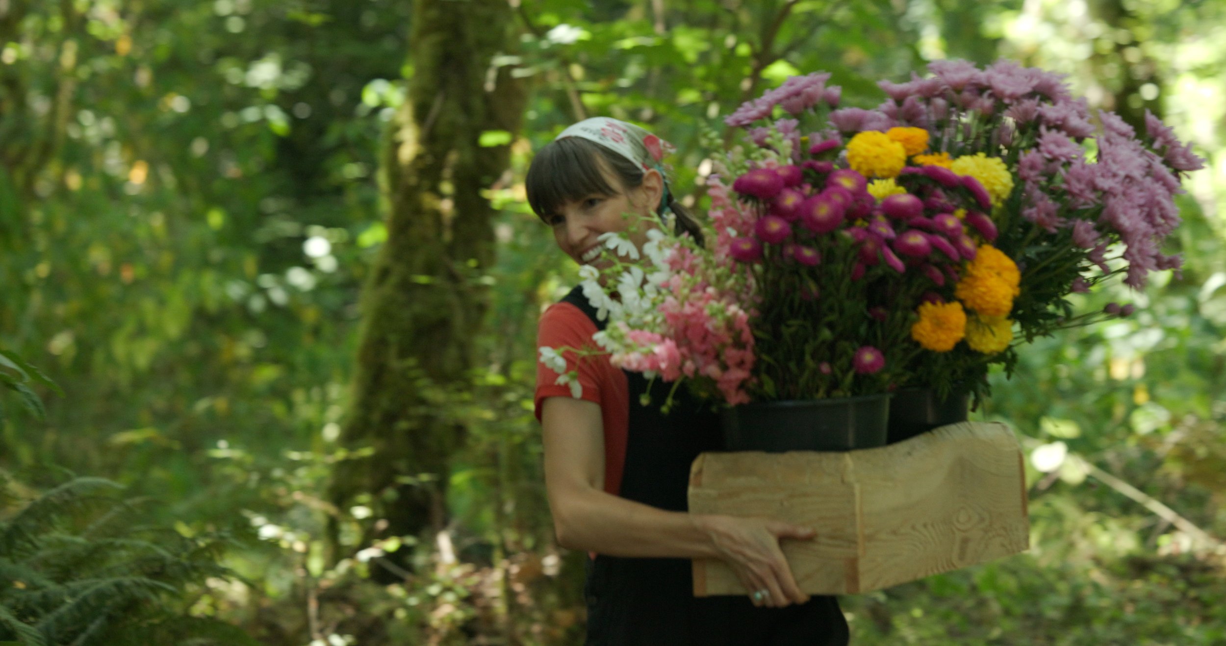 Follow the Blooms - Treehouse in Bloom Frame Grab 54.jpg