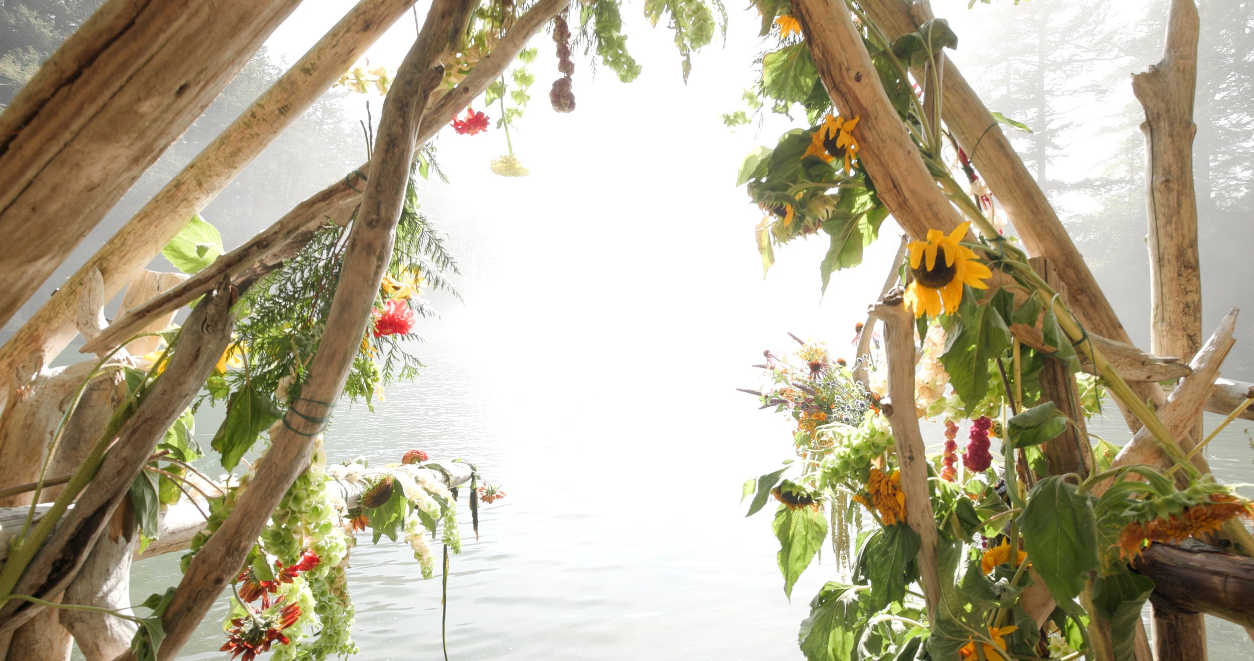 Follow the Blooms - Bloomfest by the Sea Frame Grab 25.jpg
