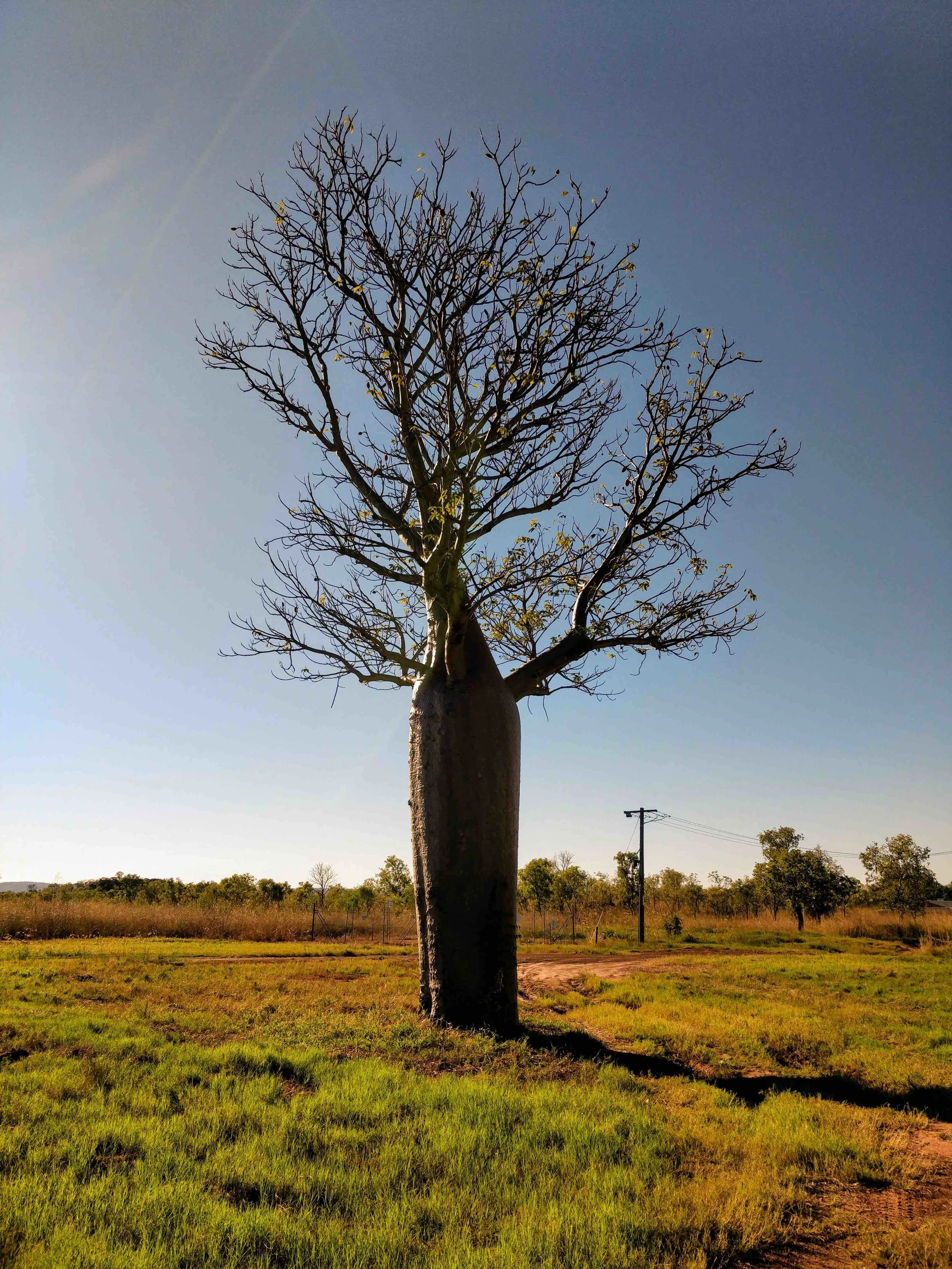 Kununurra Workshop Apr-May 2019