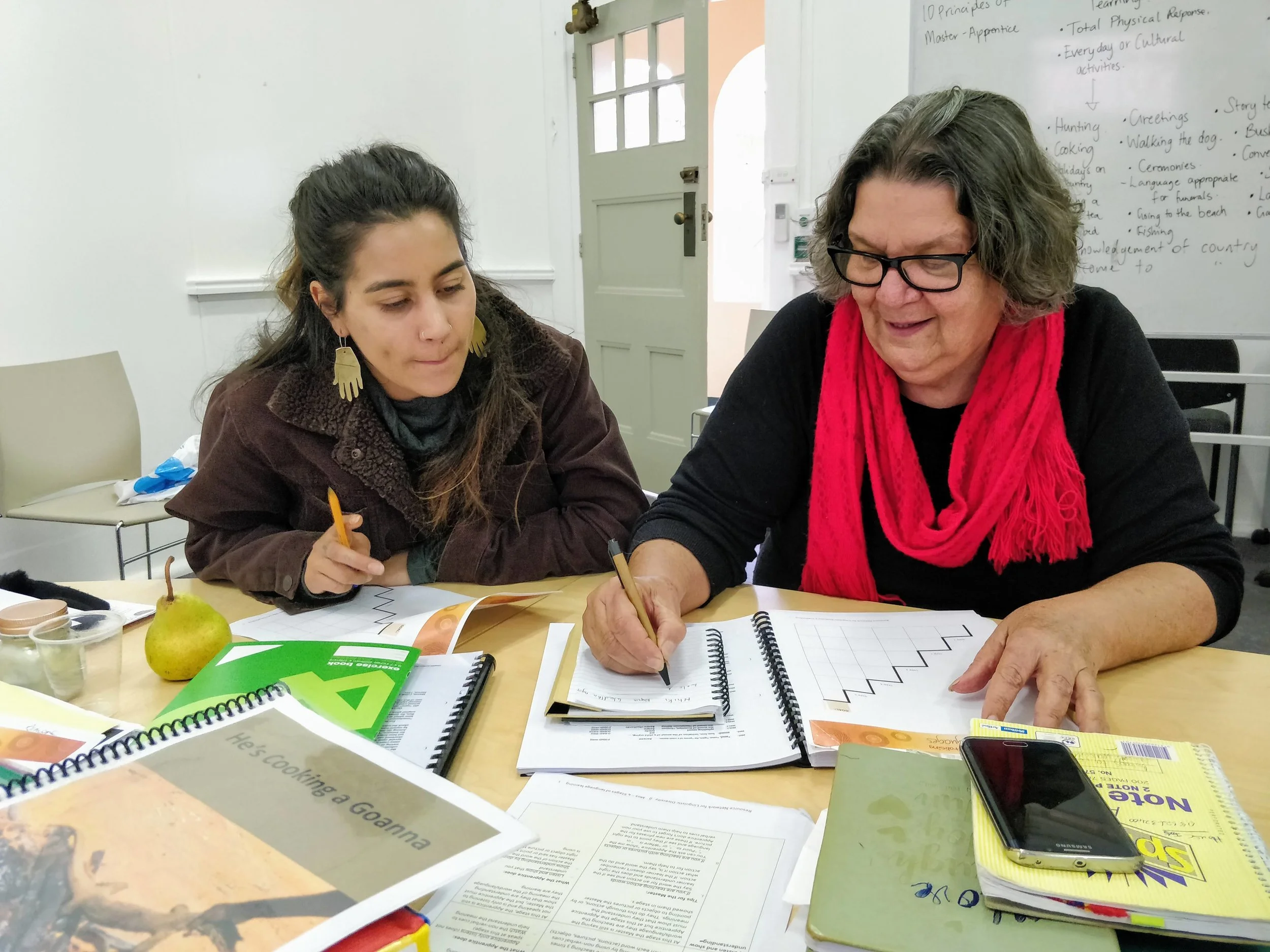 Adelaide Workshop Jun 2018