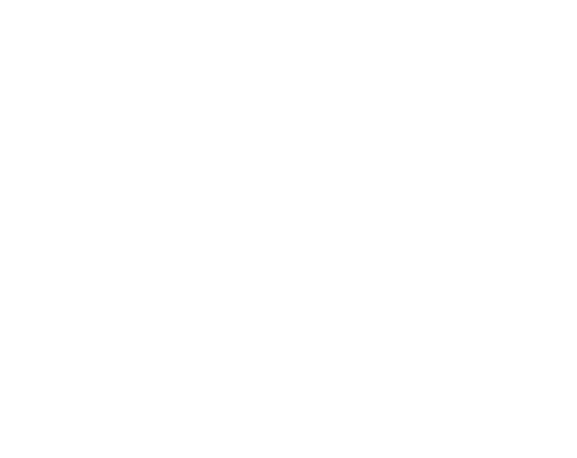 L.I.P.-logo white.png
