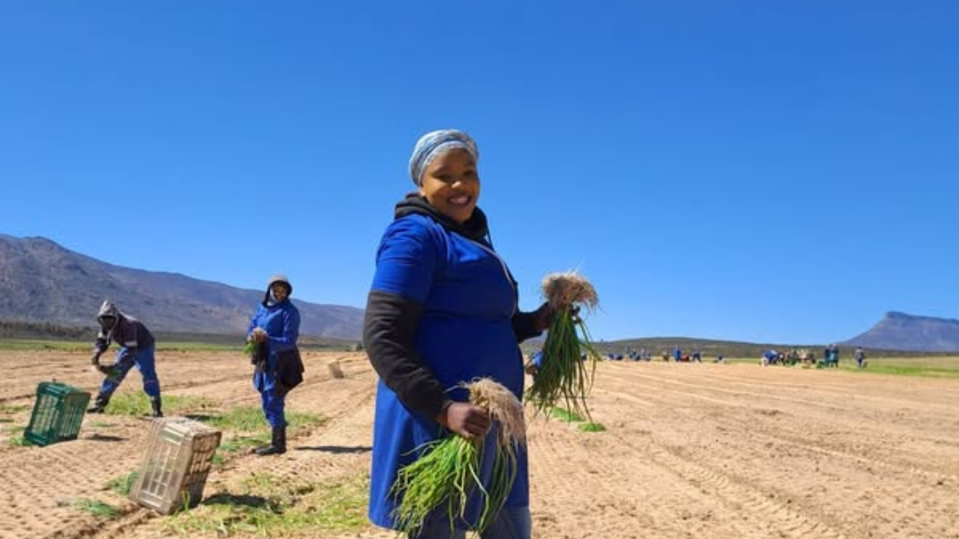 De Keur workers reap the fruit of saving with Picsa