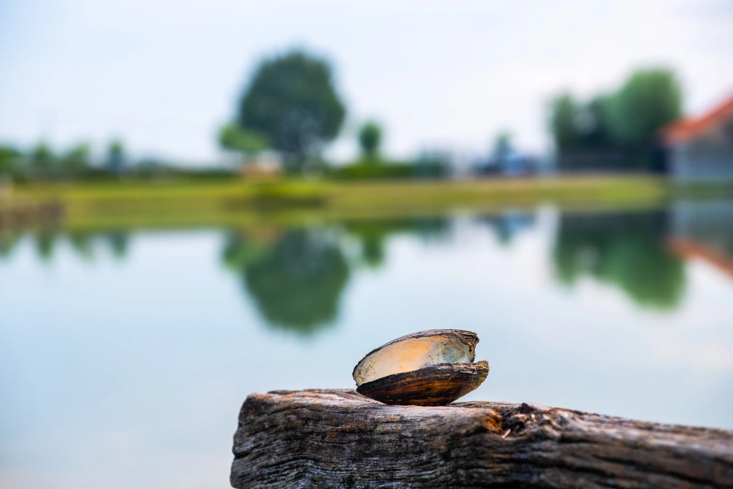 Arty Pictures-26.jpg