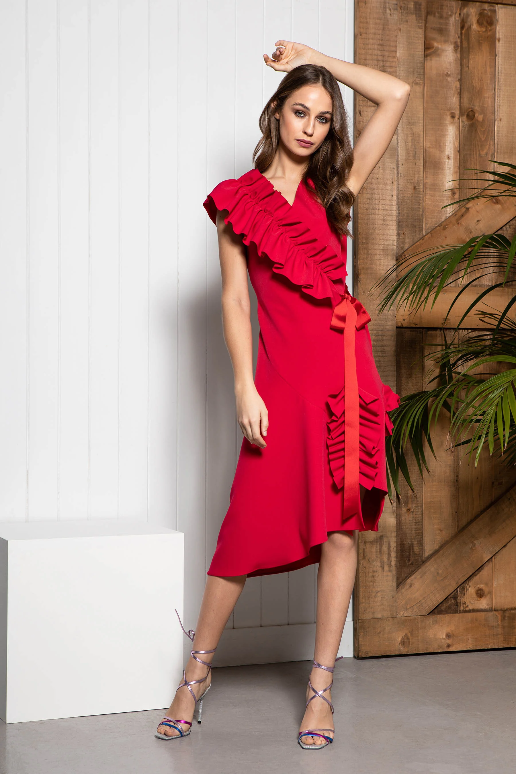 Brissa Dress €200.jpg