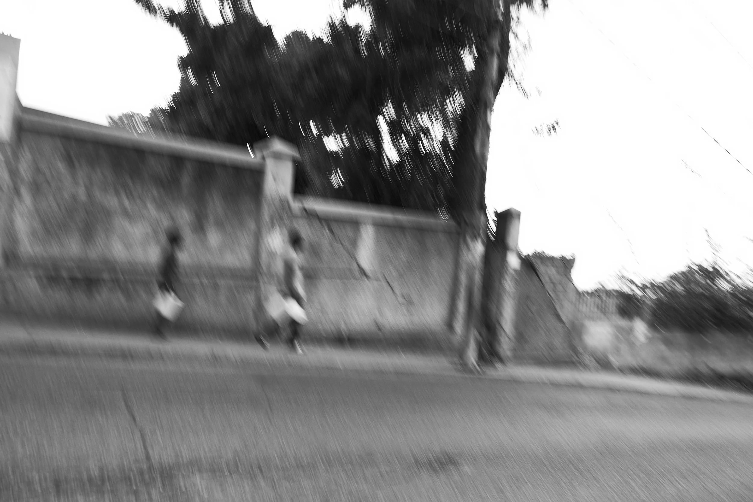 DSCF51960.jpg