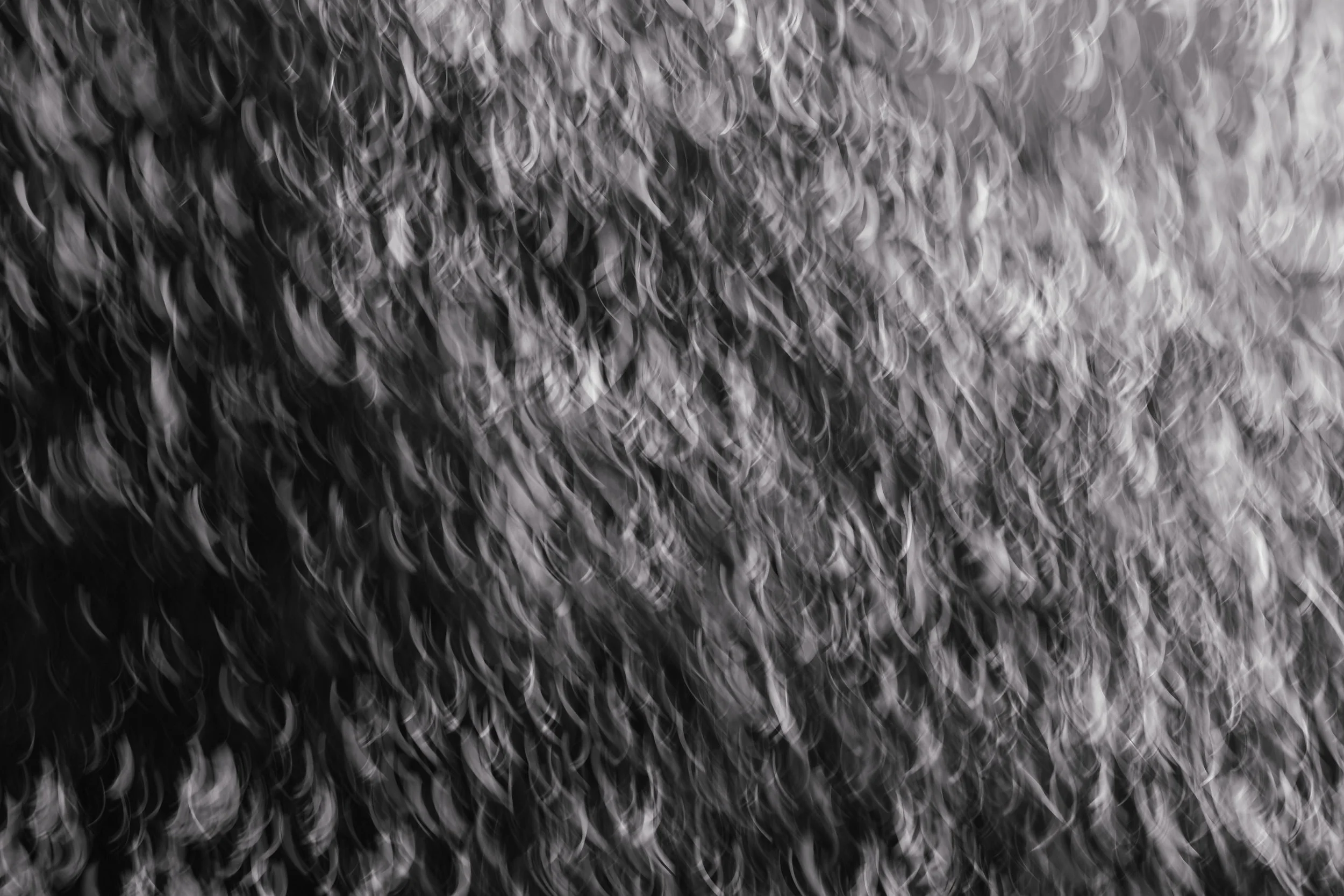 DSCF70690.jpg