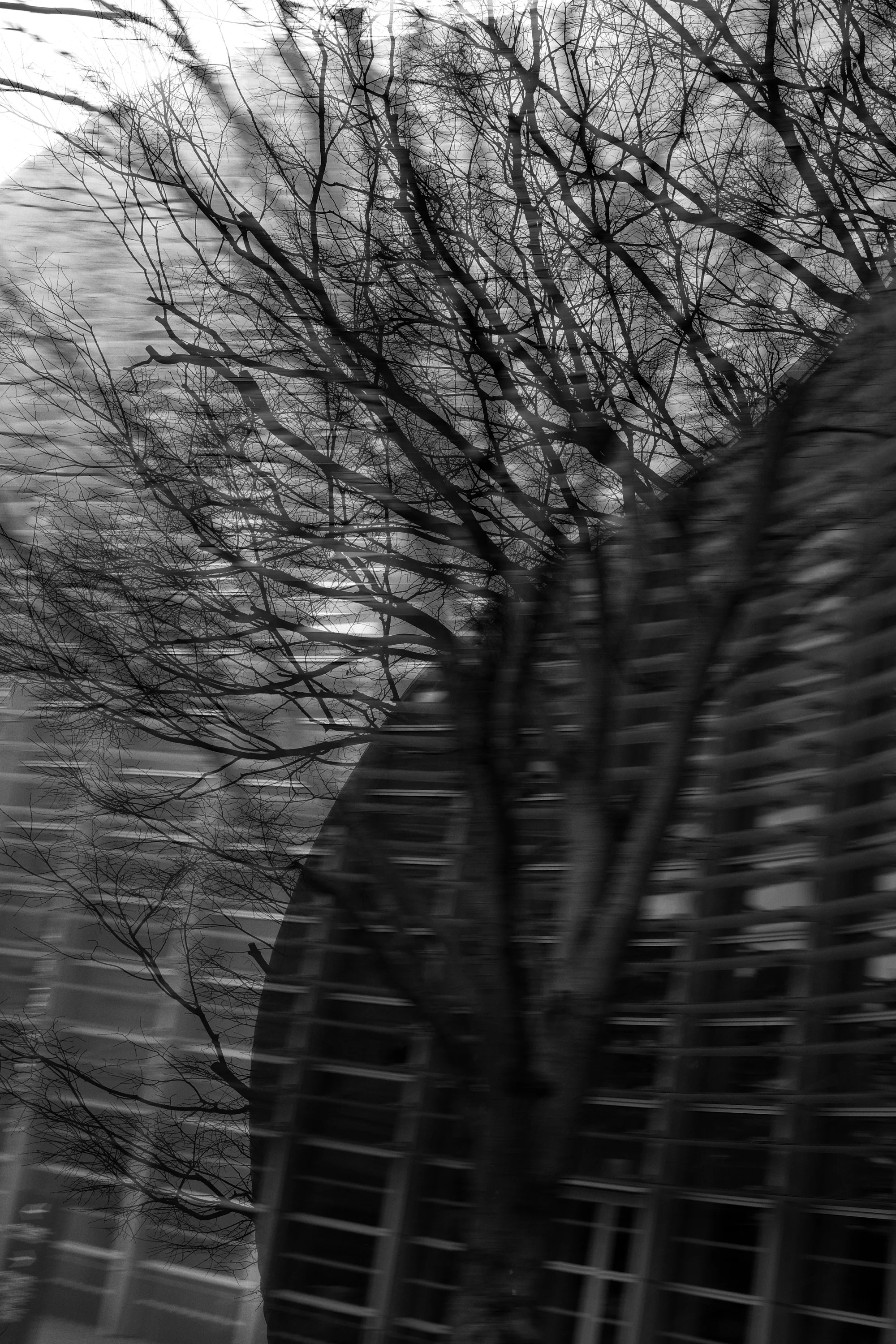 DSCF8337 10.jpg