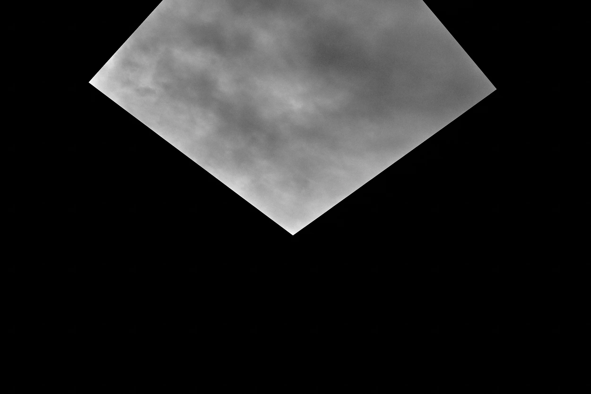DSCF9423 1.jpg