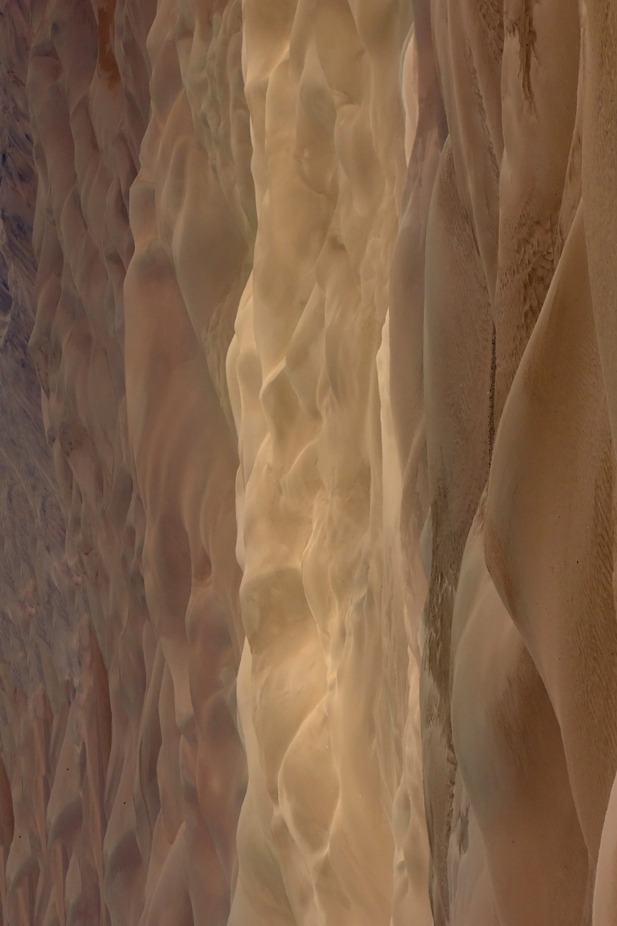WGP_2788-2.jpg