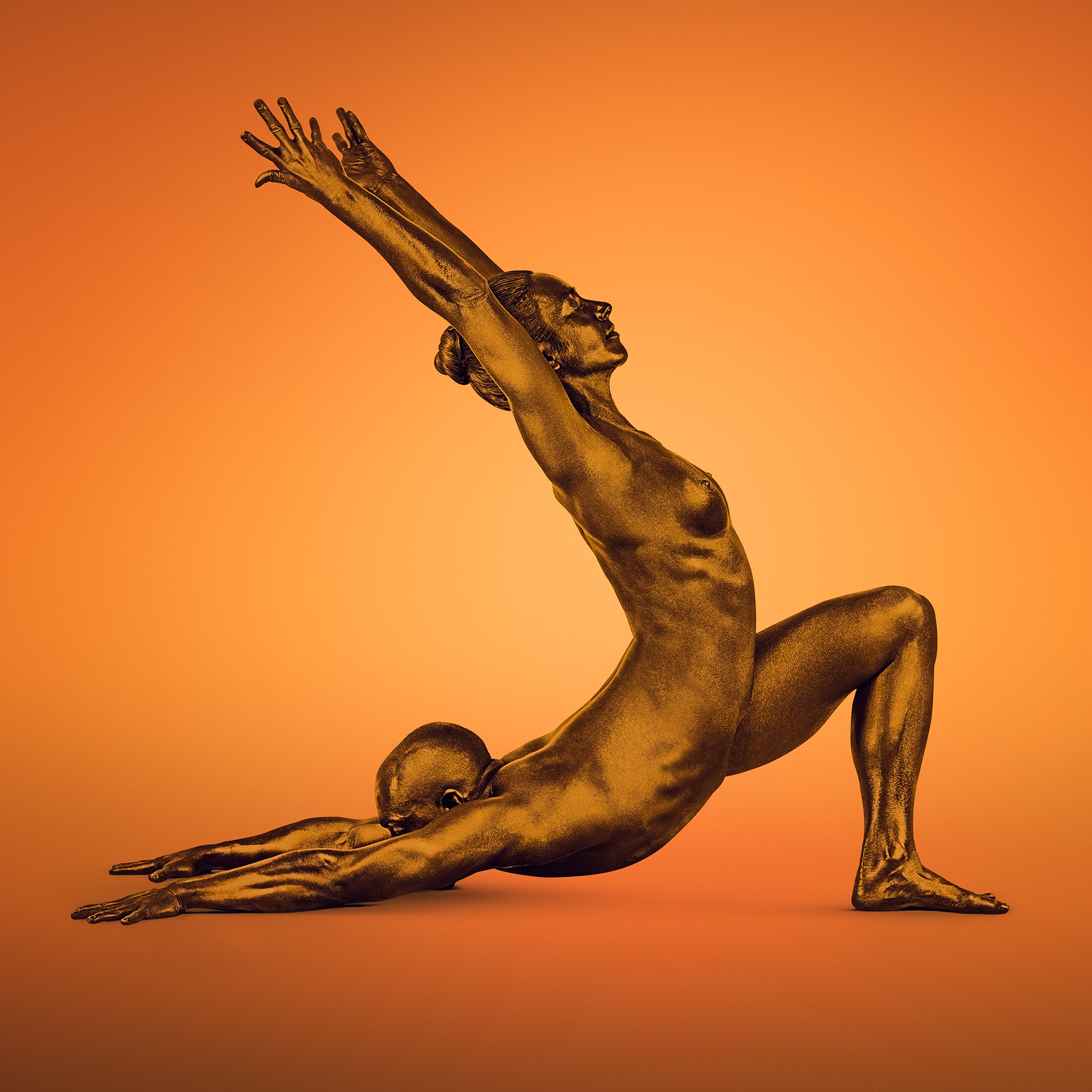 006-SVADHISHTHANA-SACRAL-ORANGE_BASTARDTURPIN.jpg