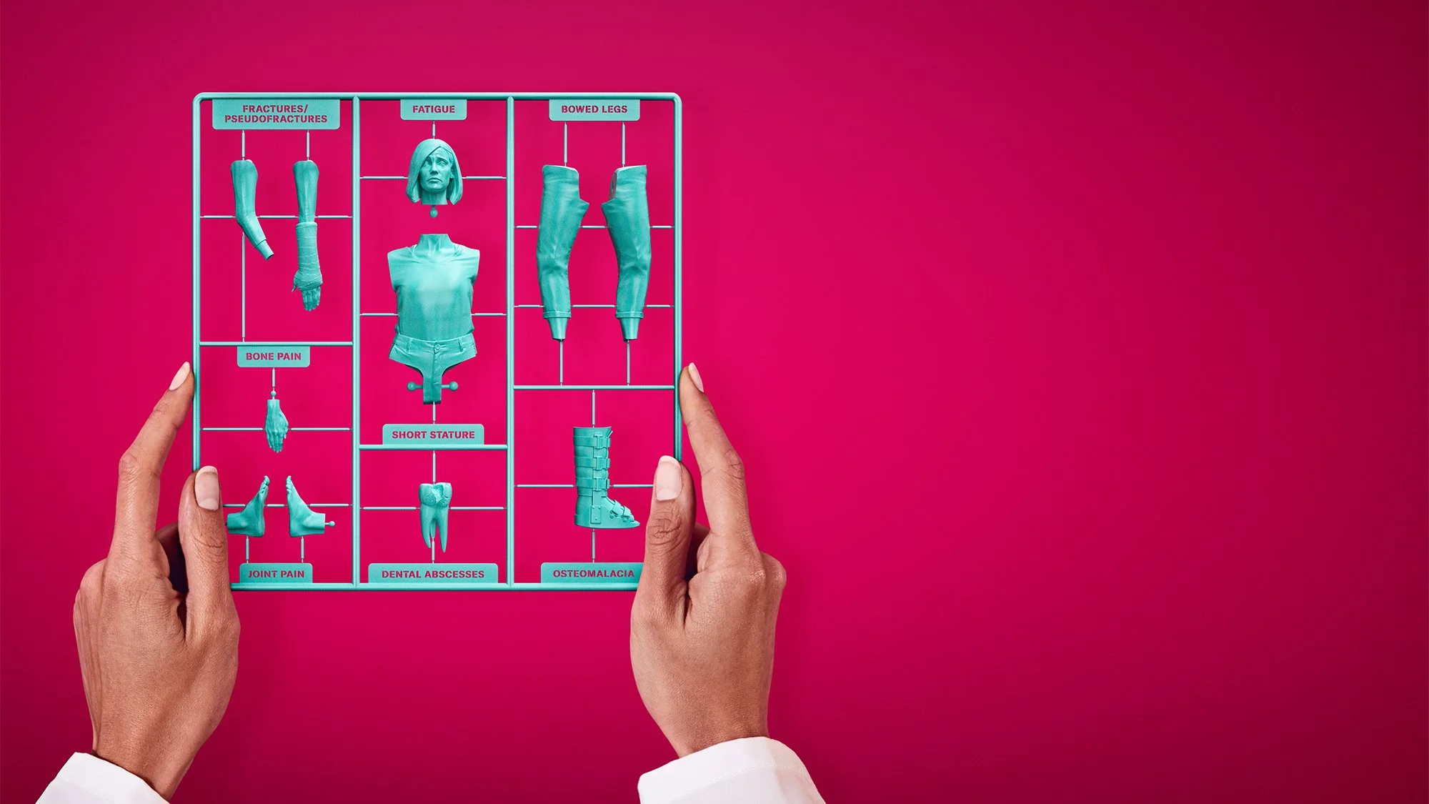 A person's hands holding a teal plastic model of the human body with labels for different medical conditions against a pink background.