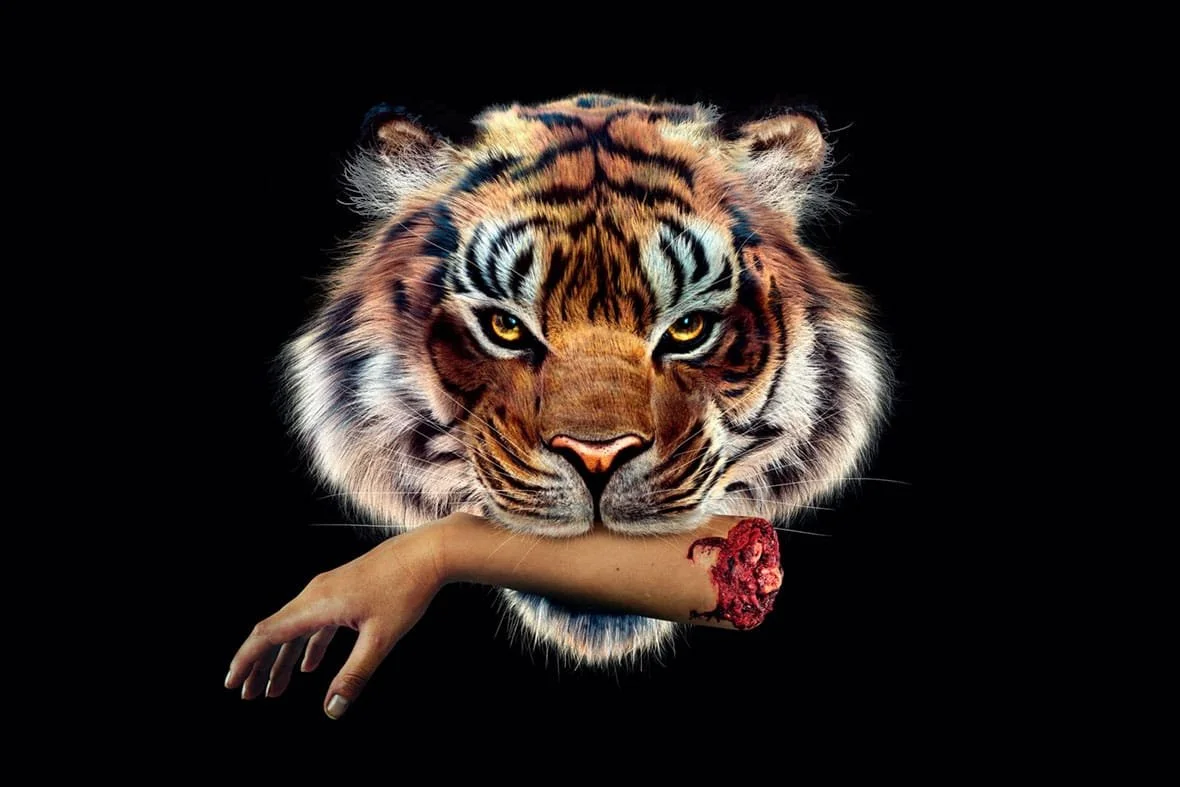 A tiger's head with an arm and hand with a bloody wound in place of its body, set against a black background.