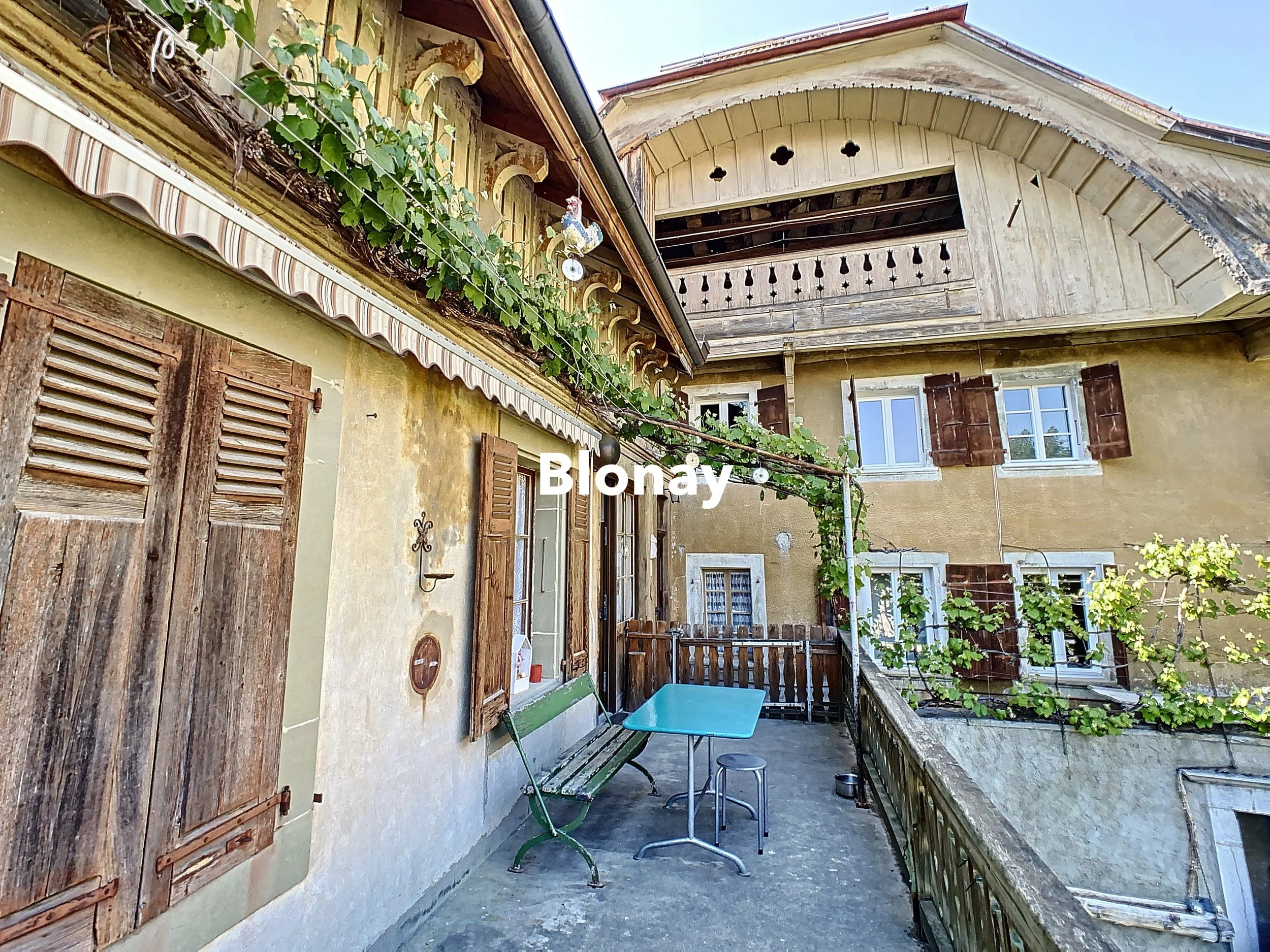 Ernest-1652278734_1652280709_80741_c0364c9 - copie.jpeg