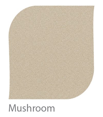 Mushroom.jpg