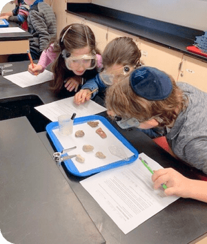 About Us — Green Ninja