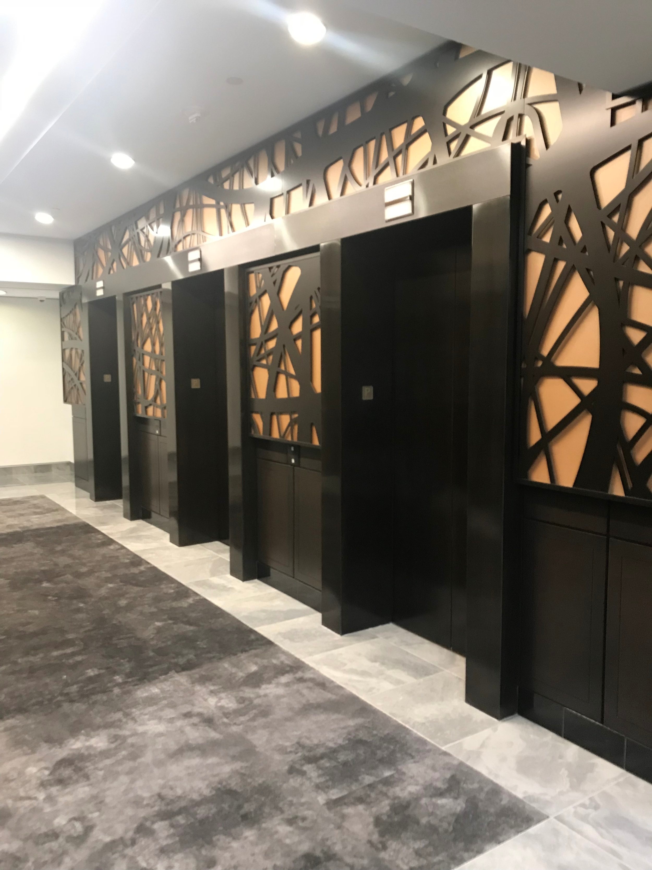 Peidmont 14 - Installed laser cut aluminum, powder coated wall panels.