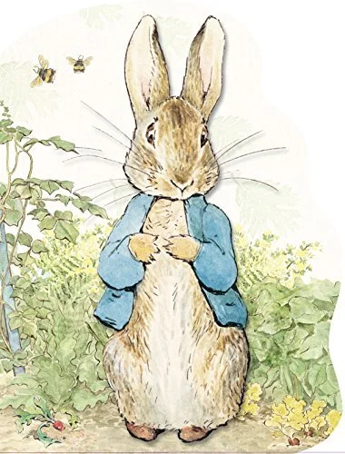Peter Rabbit Board Book