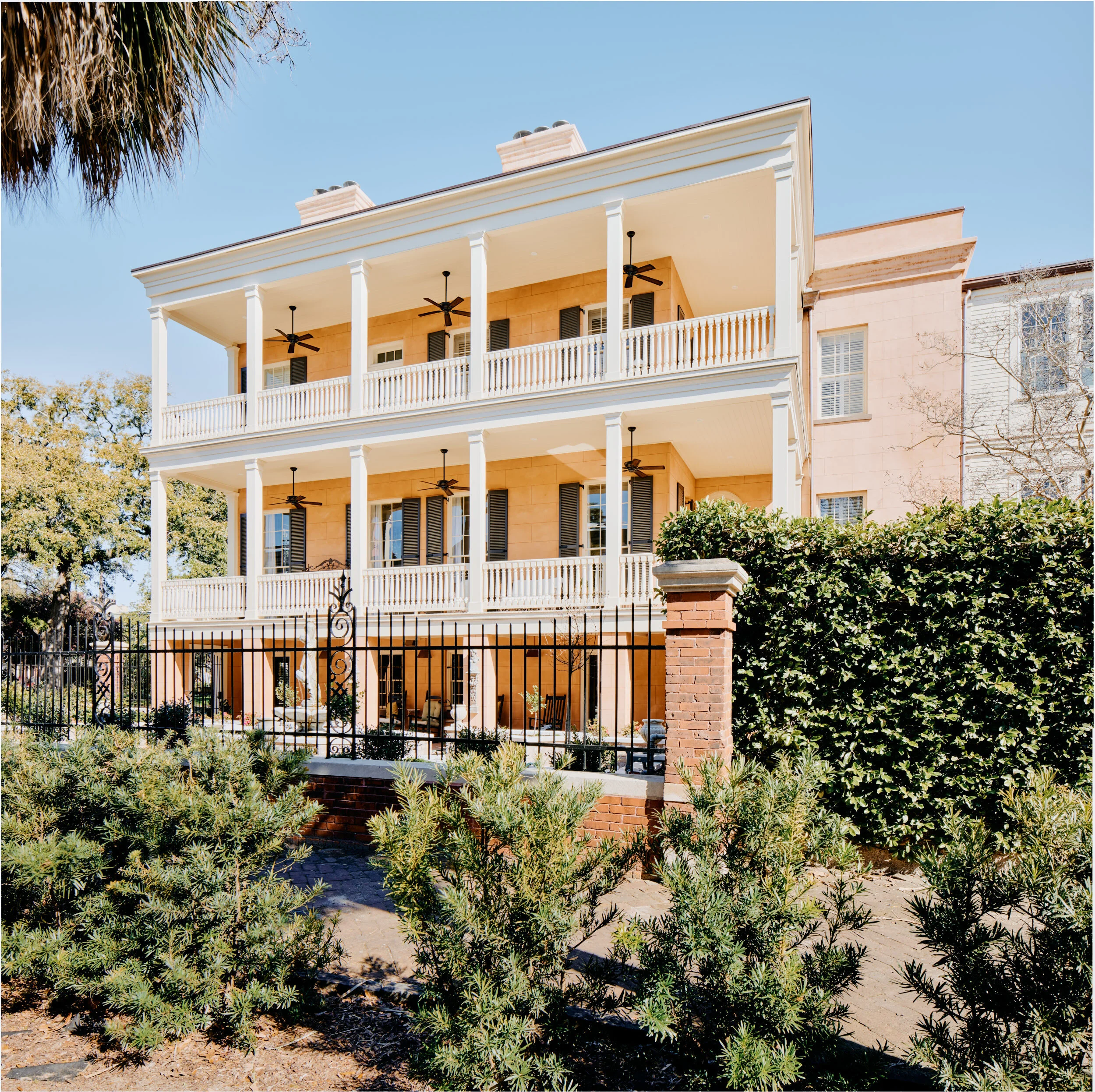 Ward Architects- 432 Abercorn- 4.jpg