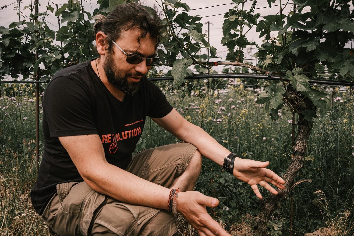 Johannes Zillinger | Weinviertel | Austria
Introduction

Johannes Zillinger learned early on the craft of organic winemaking. How to approach vineyards as habitat of different living creatures.
His father, Hans, who turned to organic viticulture in 1