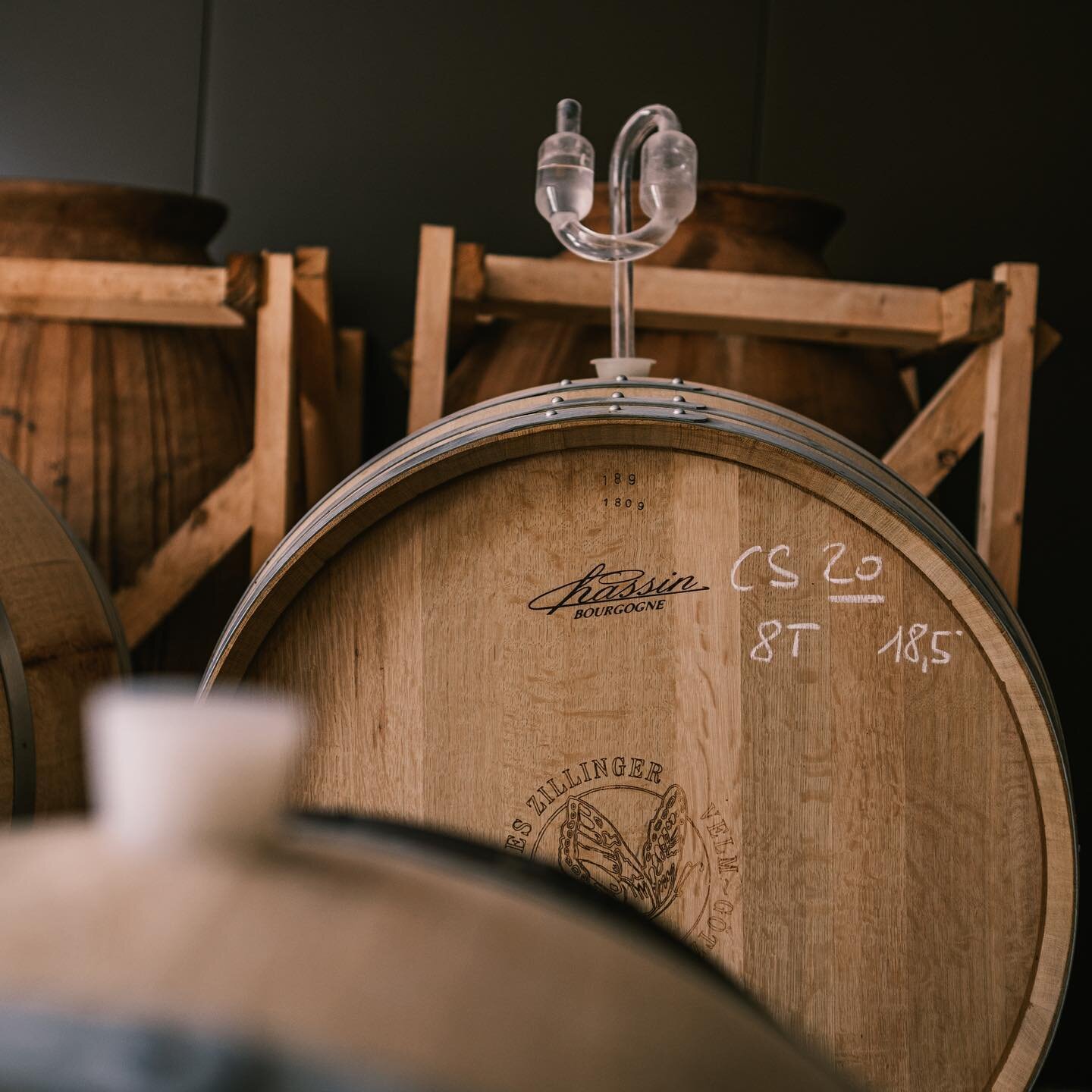 Johannes Zillinger | Weinviertel | Austria
Winemaking

The mysteries of winemaking are passed down from father to son, and knowledge has been inherited in the family for many decades. Johannes uses a method that combines old and new.

All his wines h