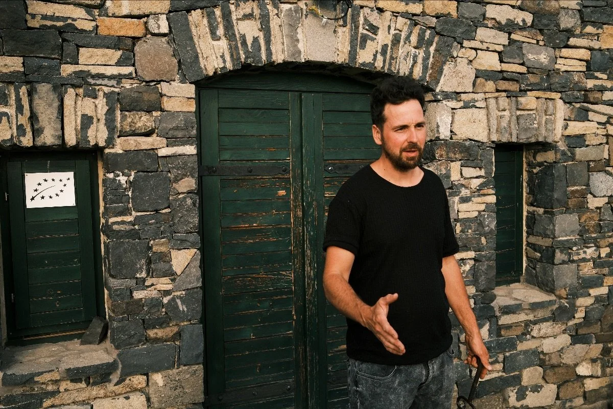 Tomcsányi: a family farm taking root on Somló