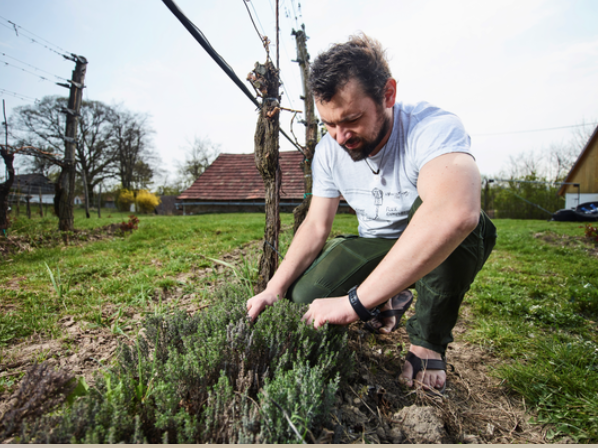 Johannes Zillinger: organic roots and a different approach to amphora