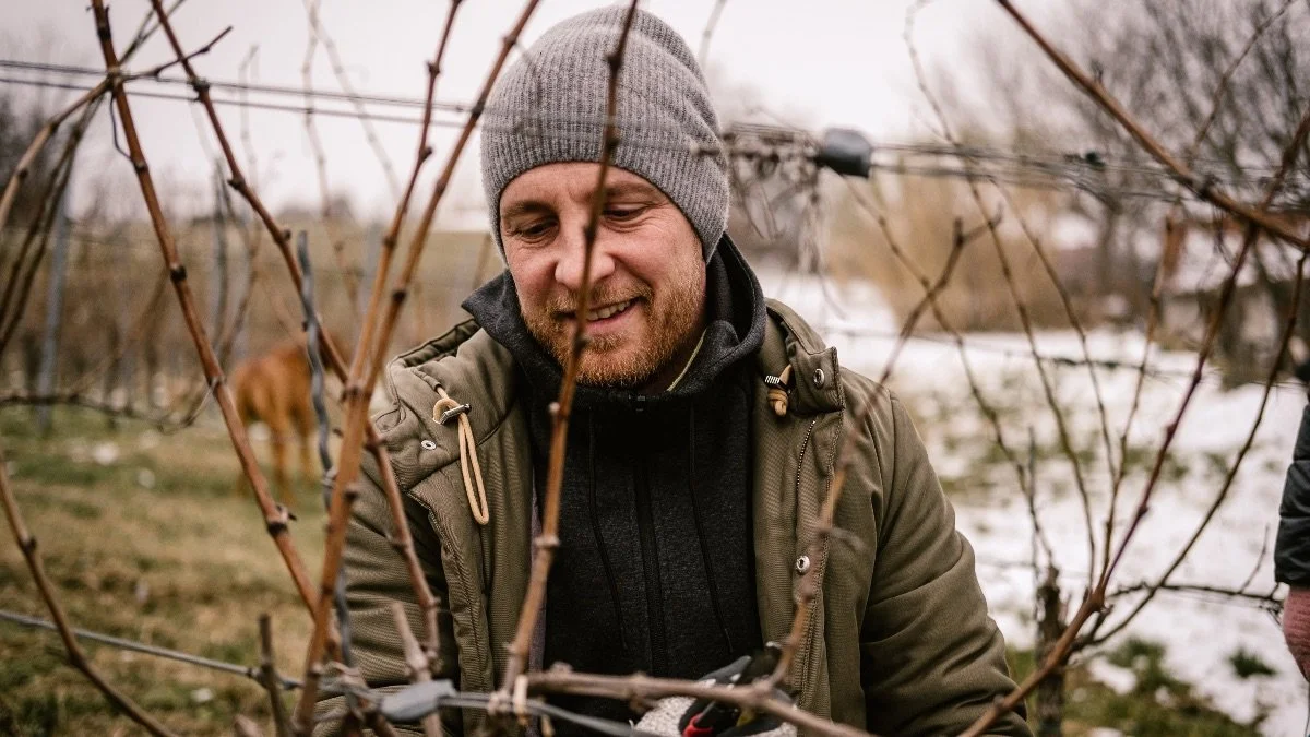 Bencze Birtok’s 2019 vintage: Furmint, Kéknyelű and amphora