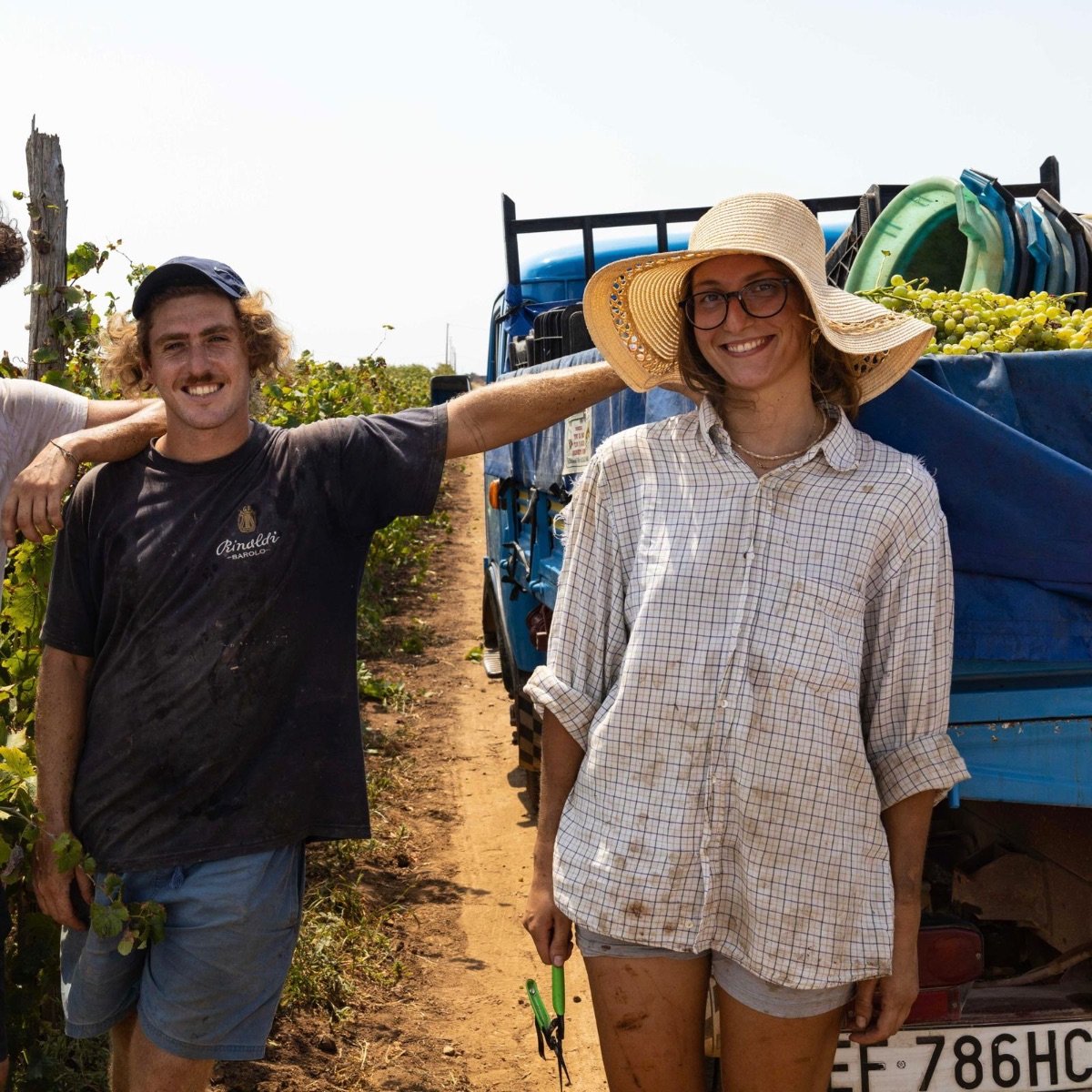 Agricola Gilì: Catarratto, Moscato and Sicily’s coastal vineyards