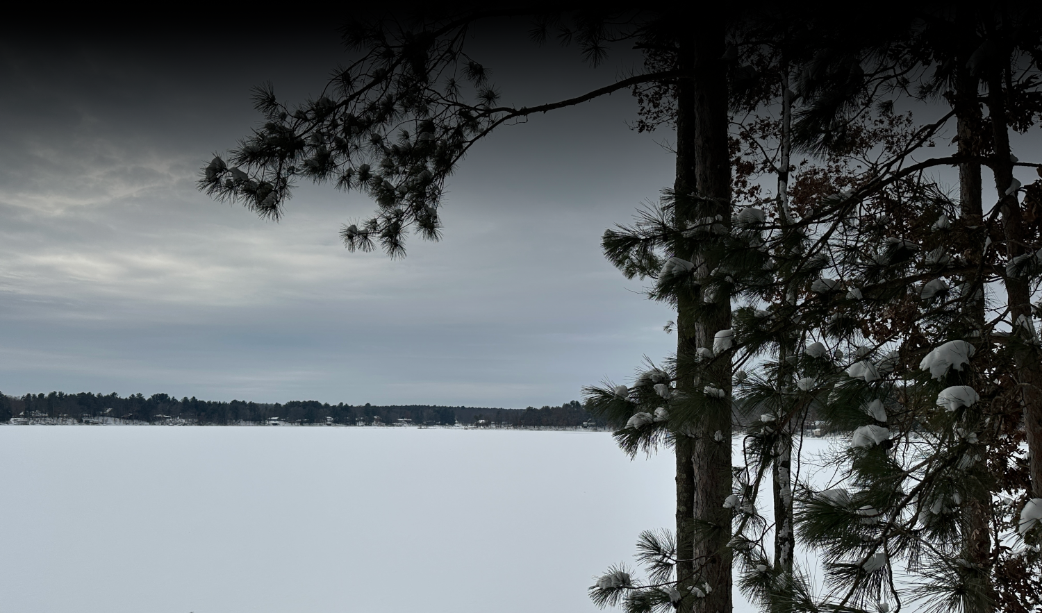 Winter_2025-2c.png