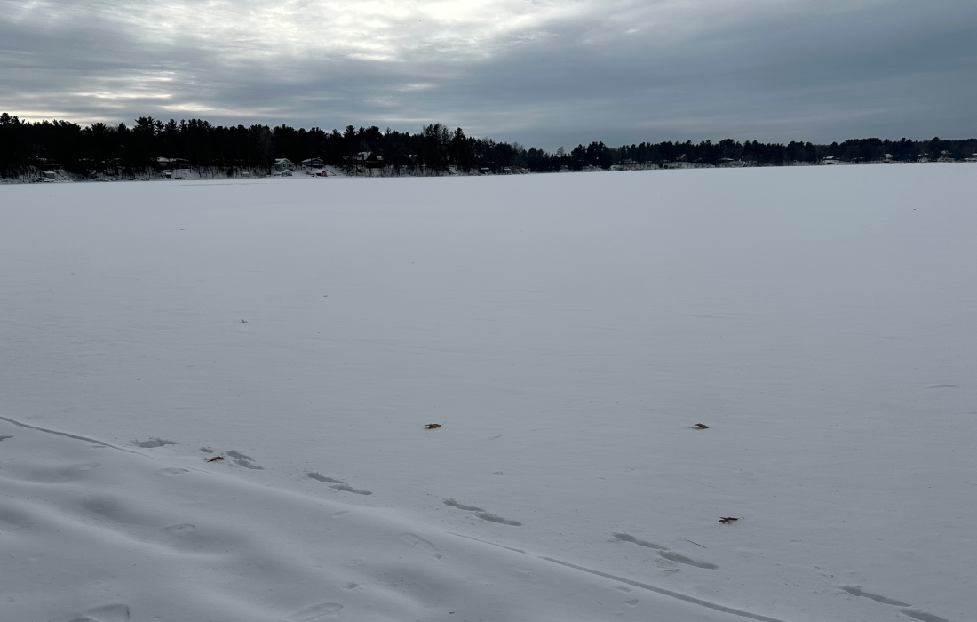 Winter_2025-1.png