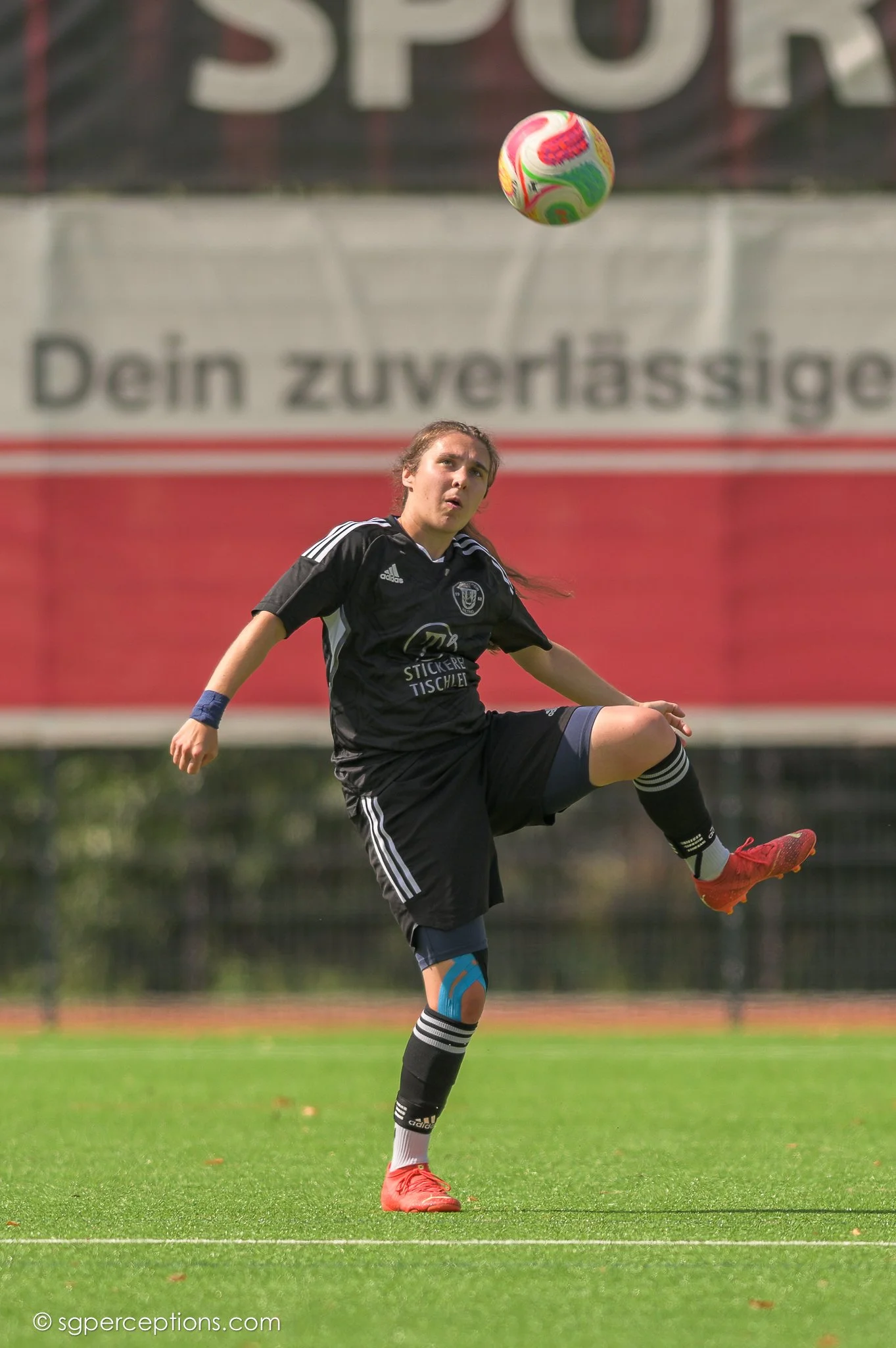 SGP_2269.jpg
