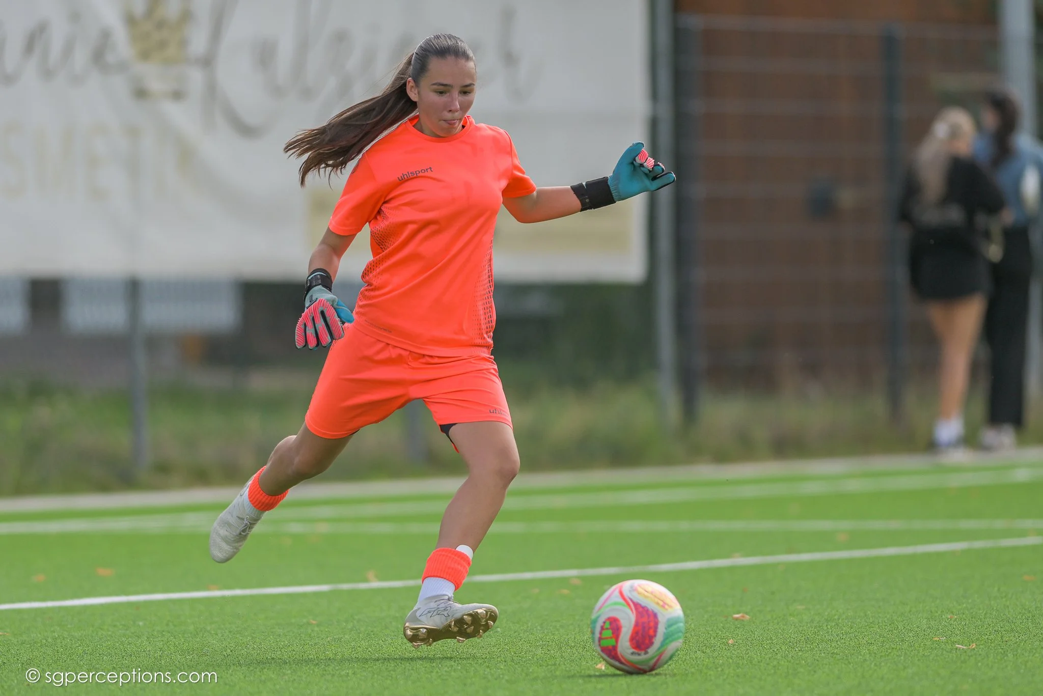 SGP_2538.jpg