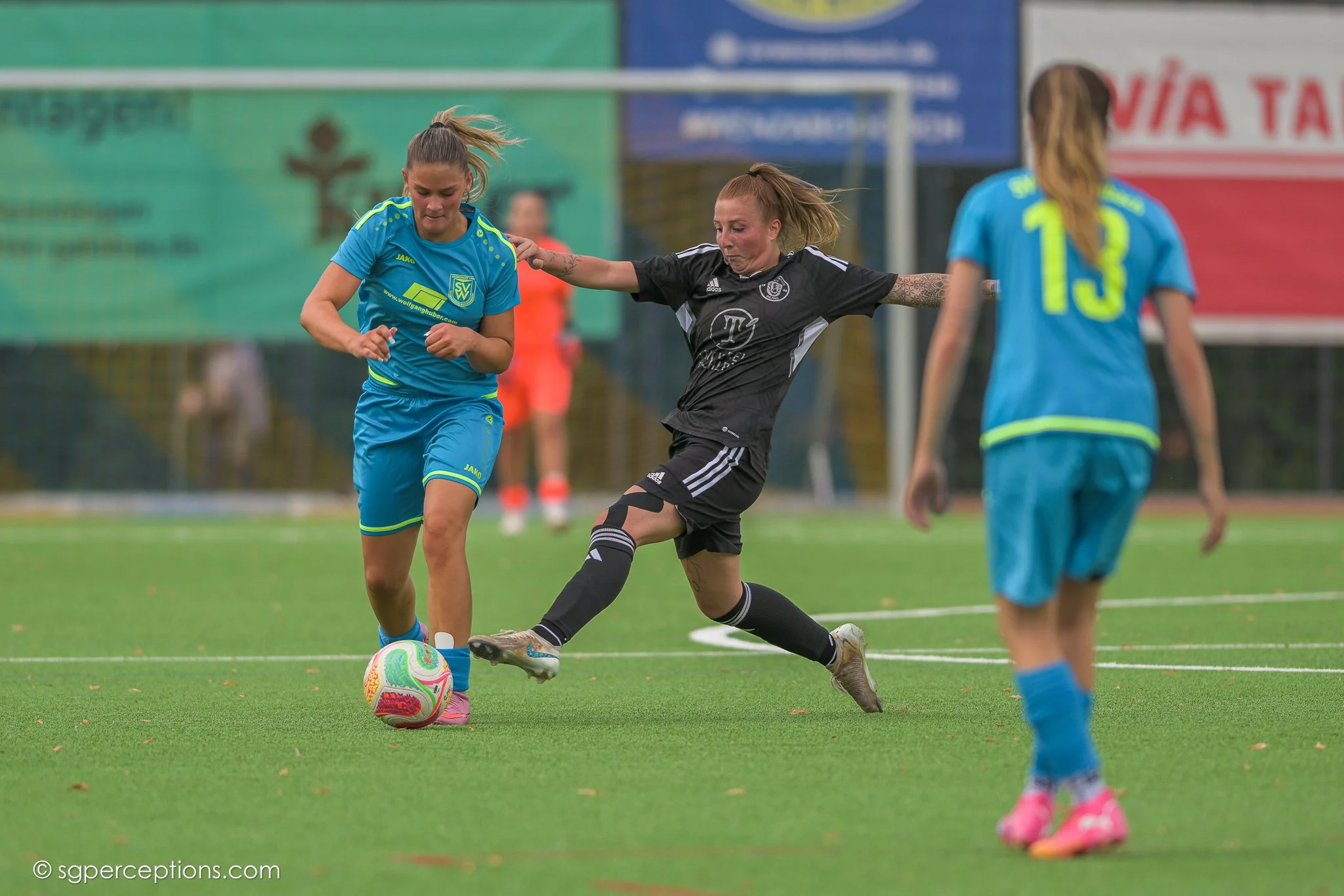 SGP_3111.jpg