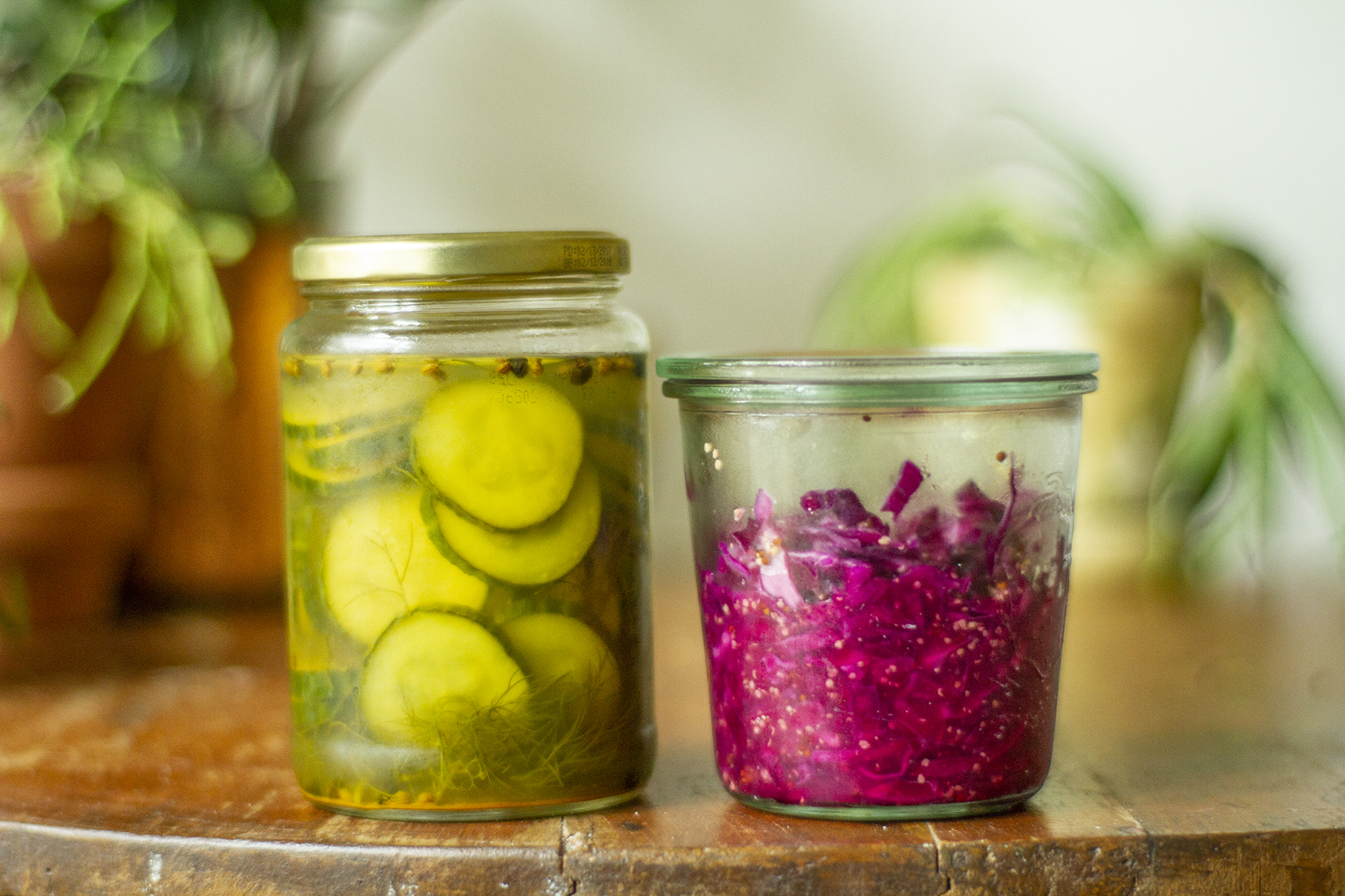 ترشی و slaw.jpg
