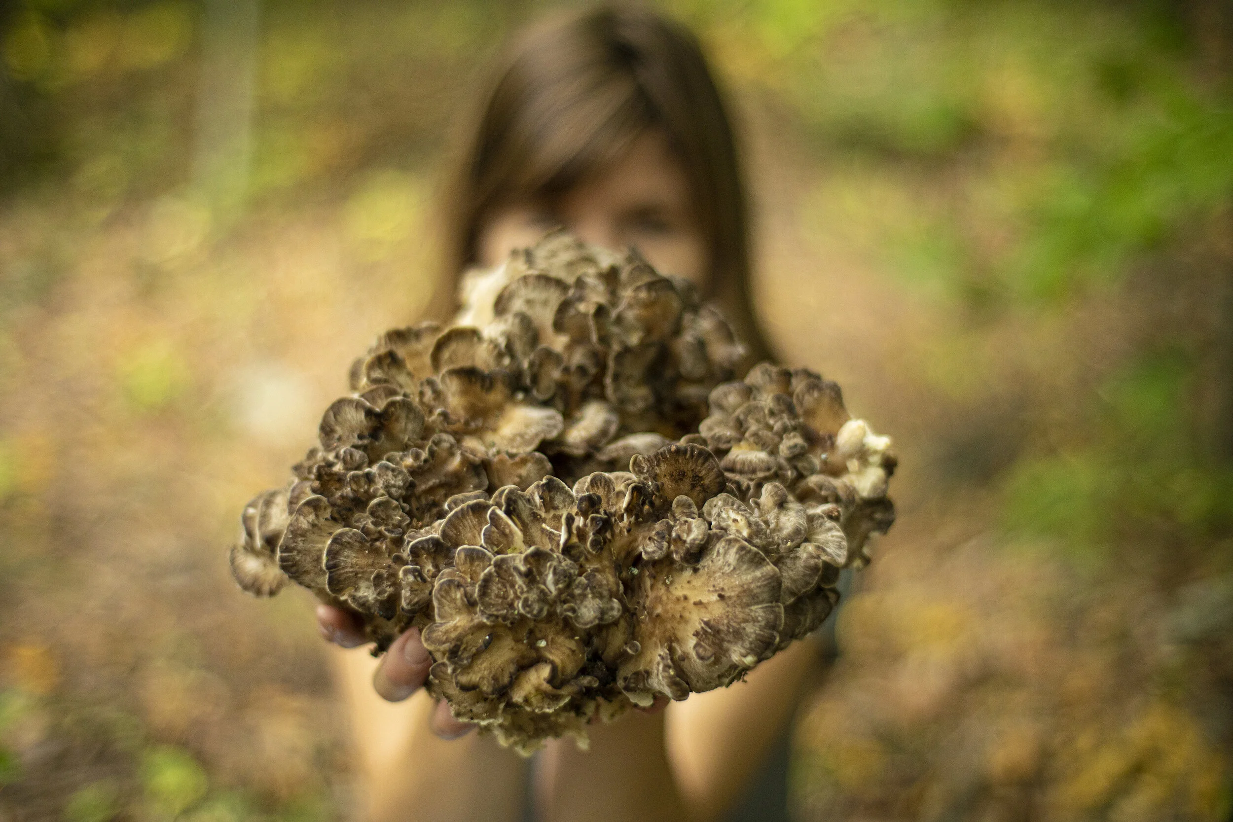 maitake in laceys hands.jpg