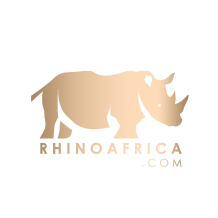 rhino (1).png