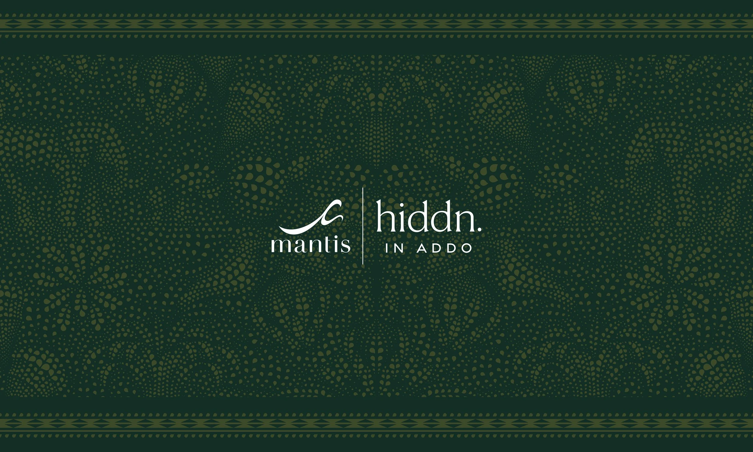 Mantis Hiddn in Addo | Website Design, Development, Photography &amp; Videography
