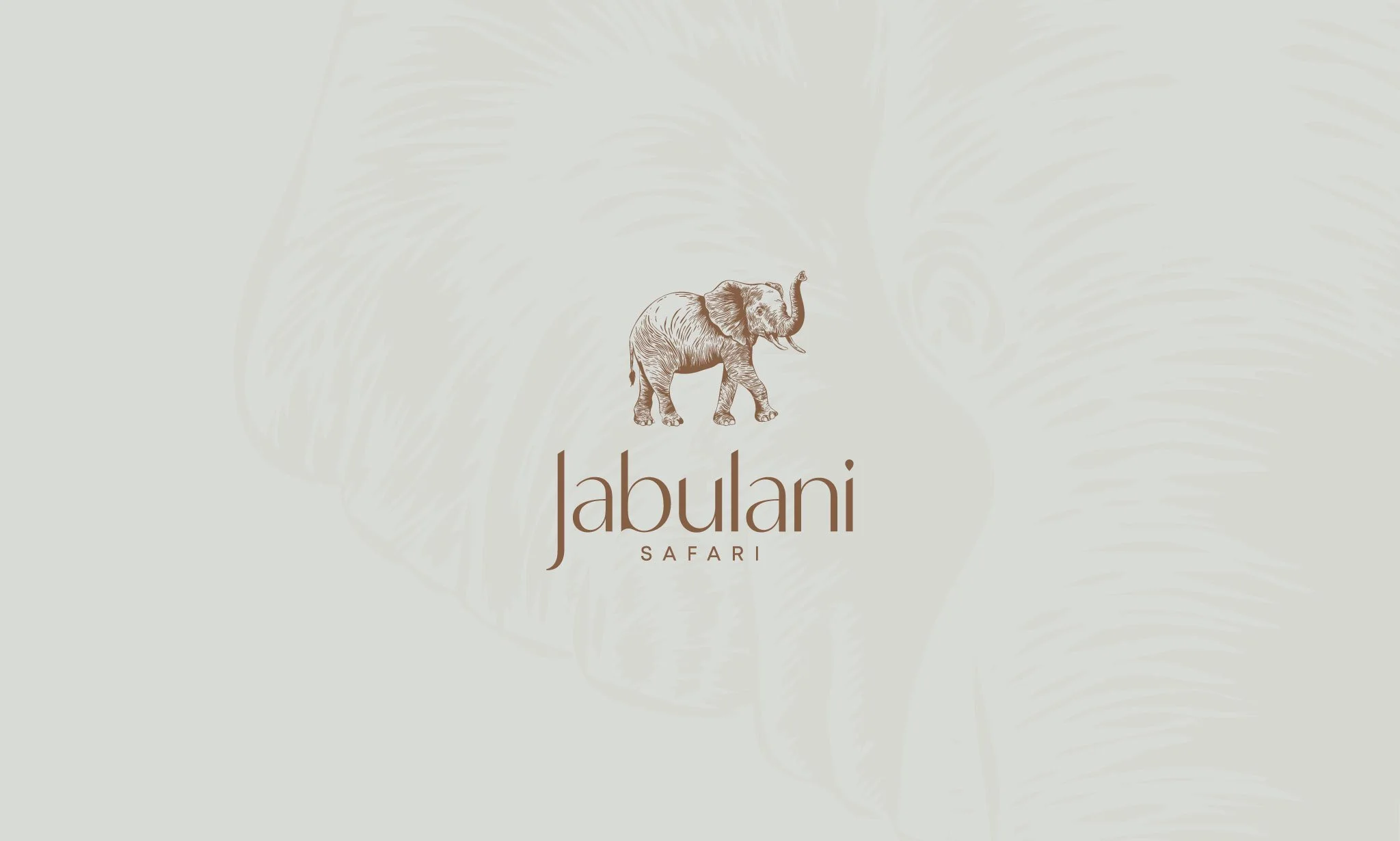 Jabulani Safari | Elevating a Conservation Legacy Through Brand Identity