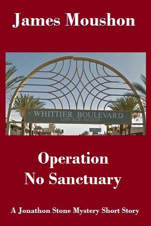 Operation No Sanctuary