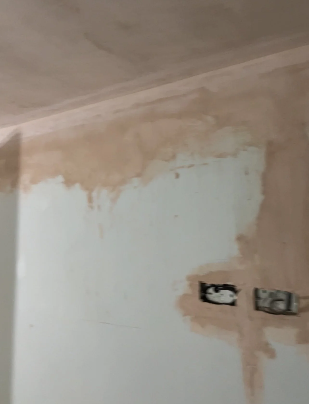 Does patch plastering save money ?