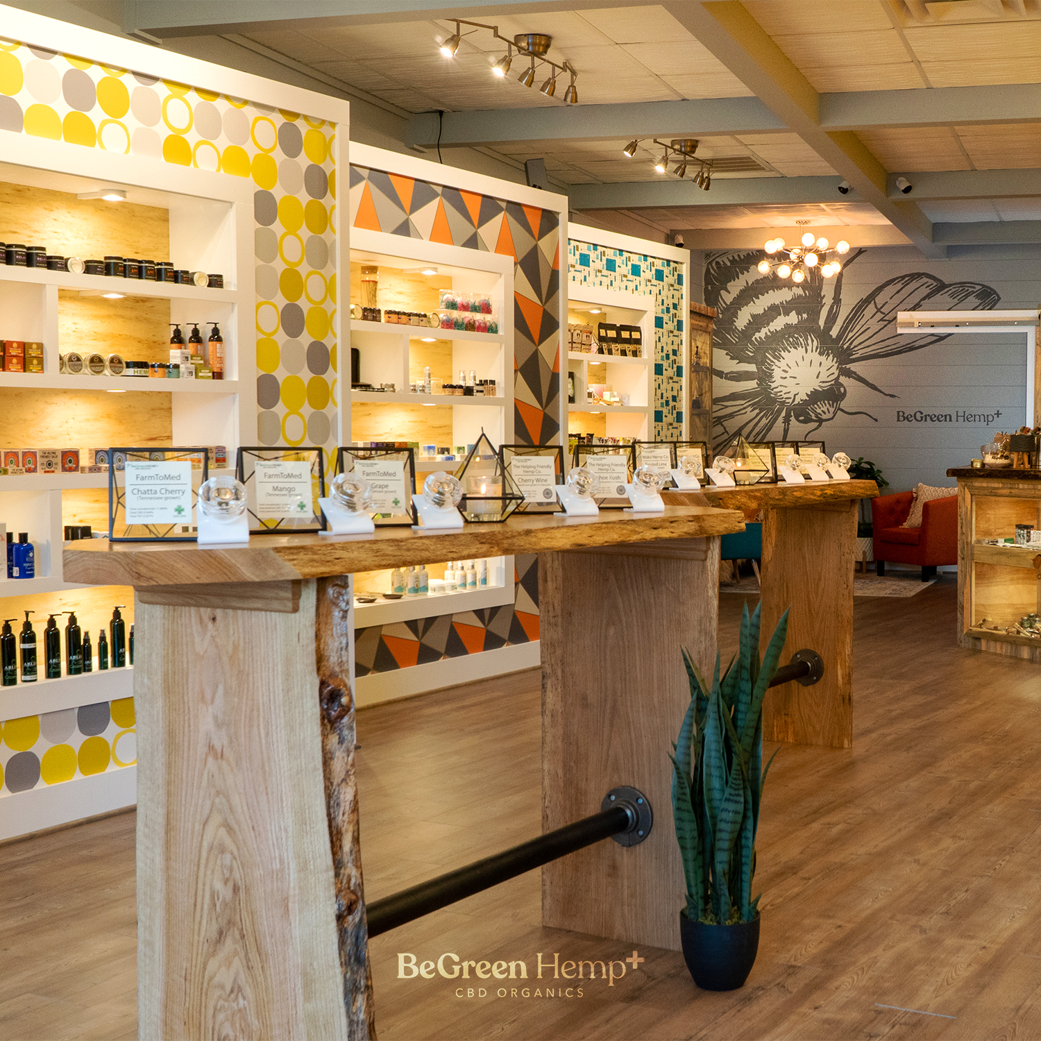 Inside store main pic.PNG