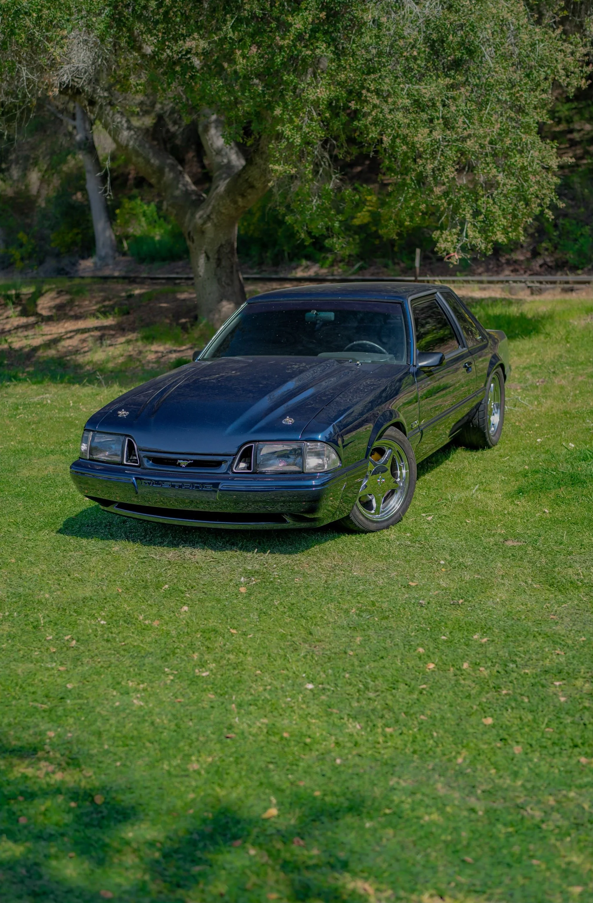 5.0_THANG_12.4.jpg