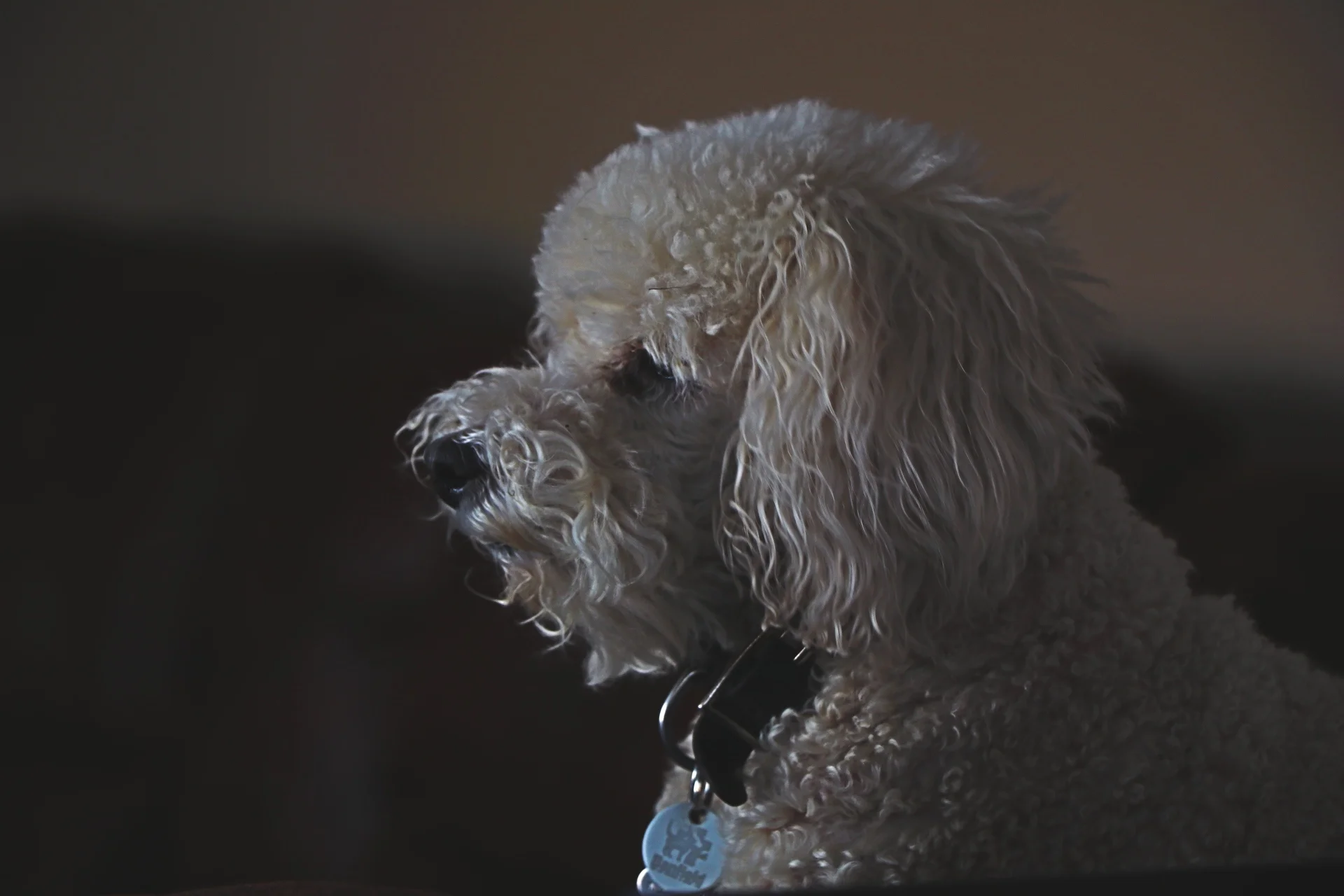    Seamus   