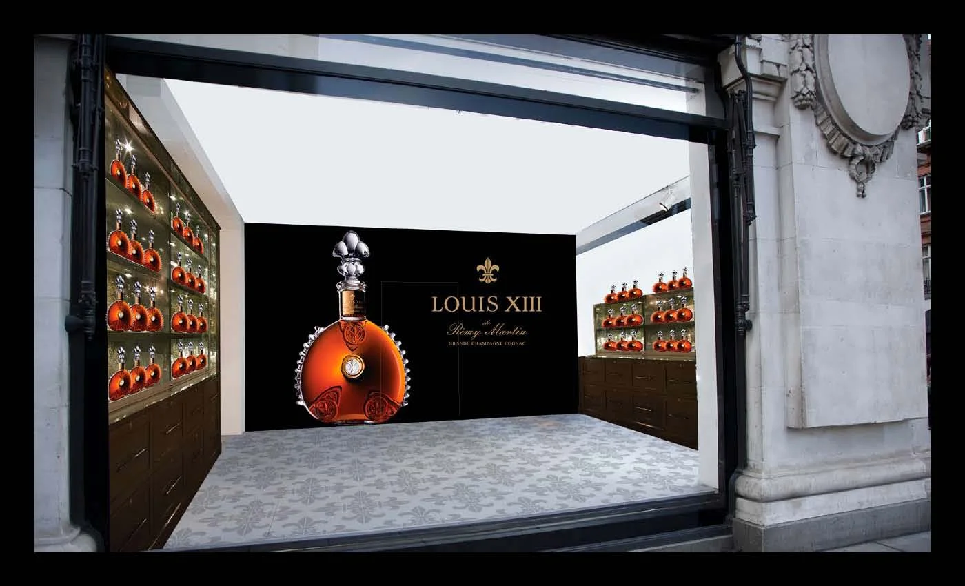 Louis_LookFeel_v7_Page_05.jpg