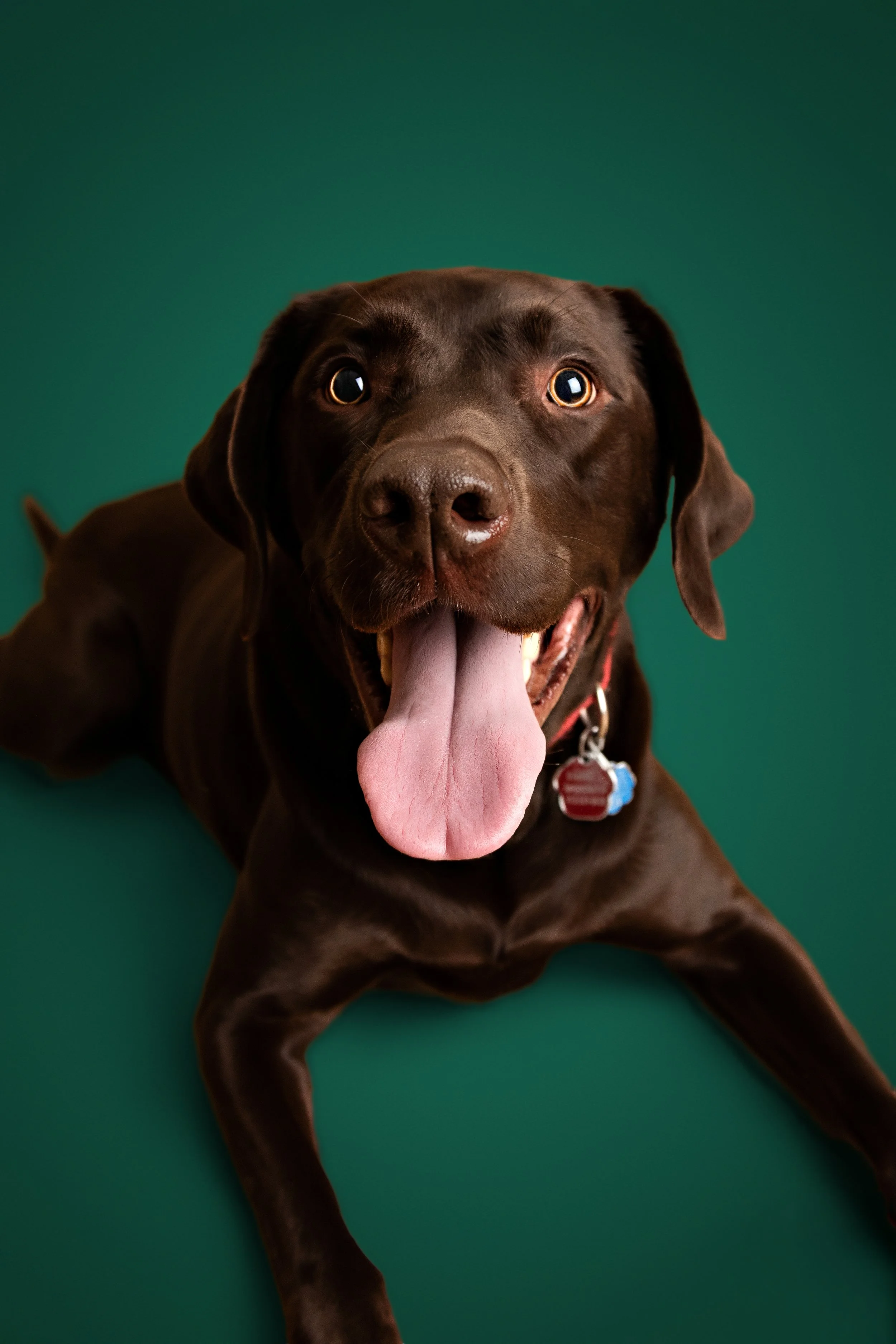 PAW-trait Sessions