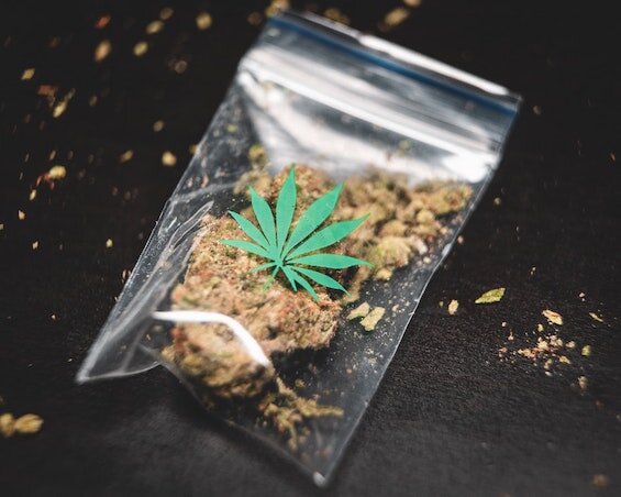 The Plastic Problem in the Cannabis Industry — Tree Hugger Containers