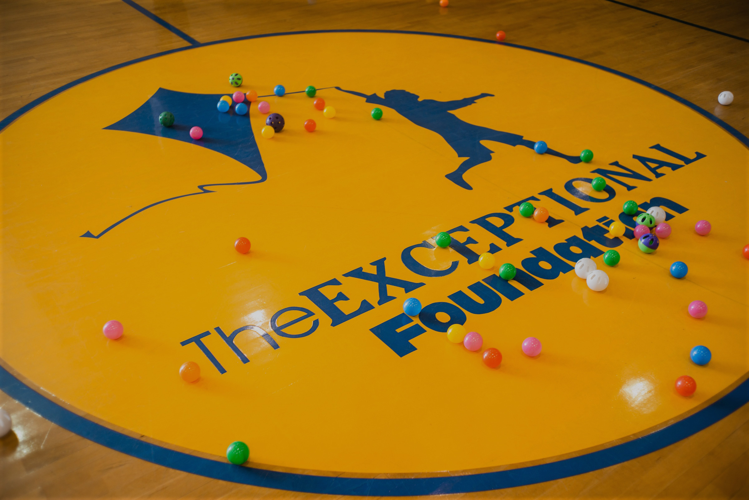 04_Exercise-&-Hungry-Hippos---010.jpg
